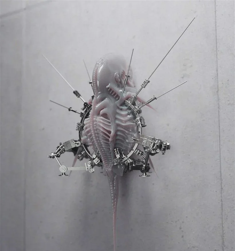 IN CONVERSATION WITH LISA MEINESZ #ARTIST FEATURE