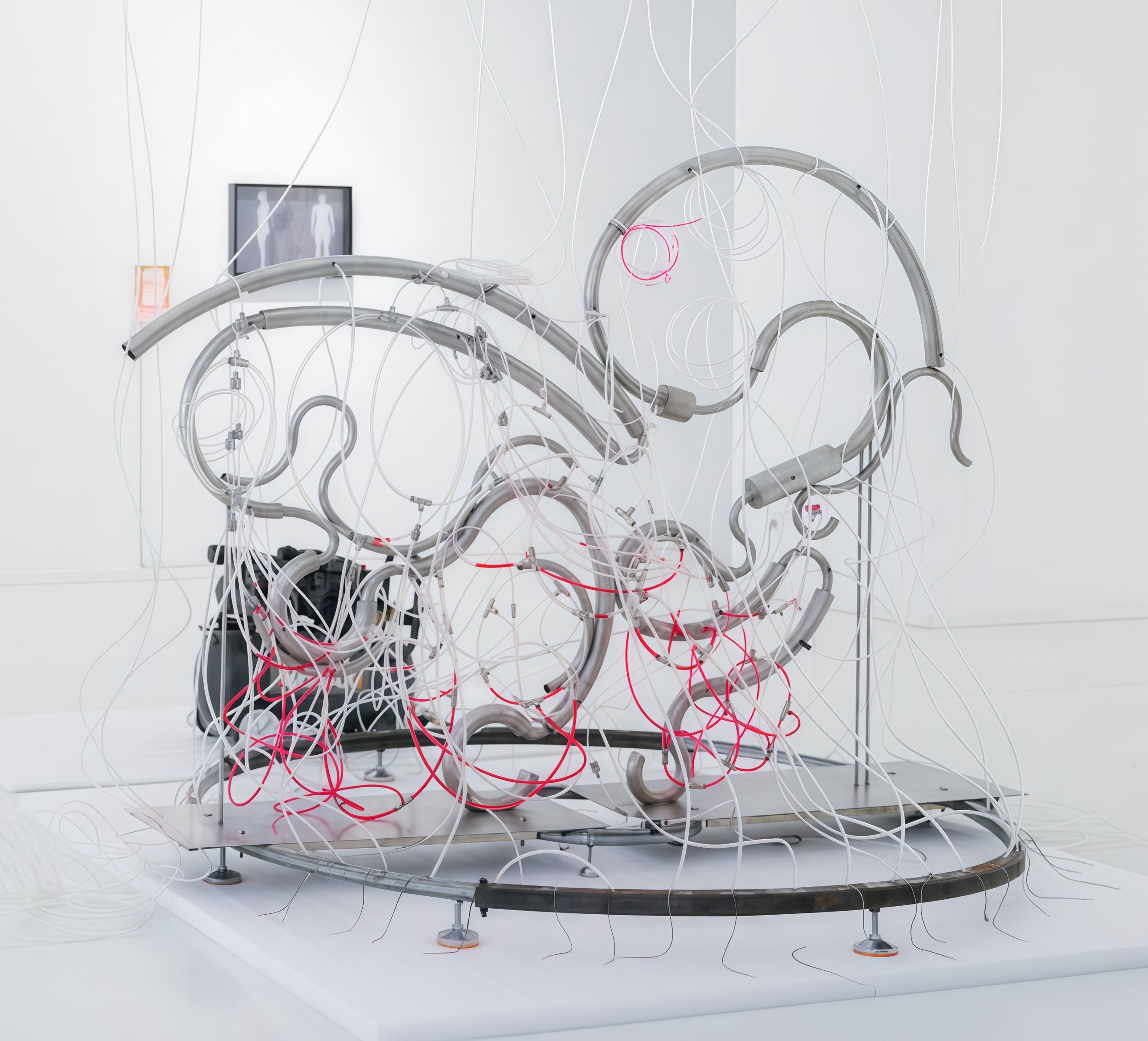 YIMING YANG / DECEPTIVE BEHAVIOUR #ART