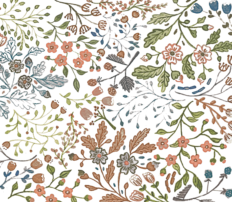   solution two  working in collaboration with Edie Meeks, a water colorist from Minneapolis, we designed a brand pattern for Little Flora to be used on baby oil droppers and external packaging. The floral pattern speaks to abundance and the colors br