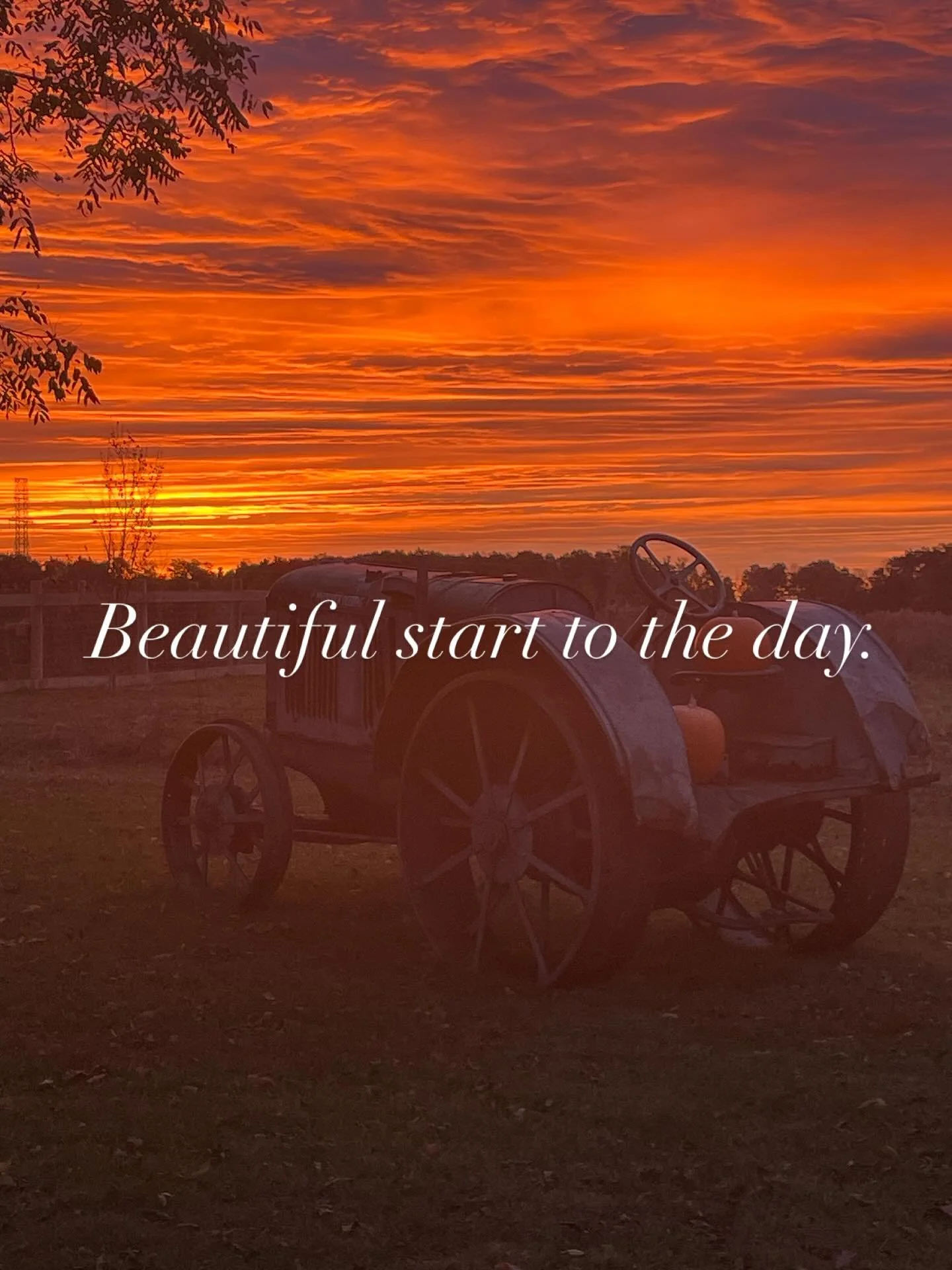 Morning views in Elora. #elora #countryviews #countrysunrise #ruralsunrise #ruralviews #vintagetractors #elorabeauty #eloraontario