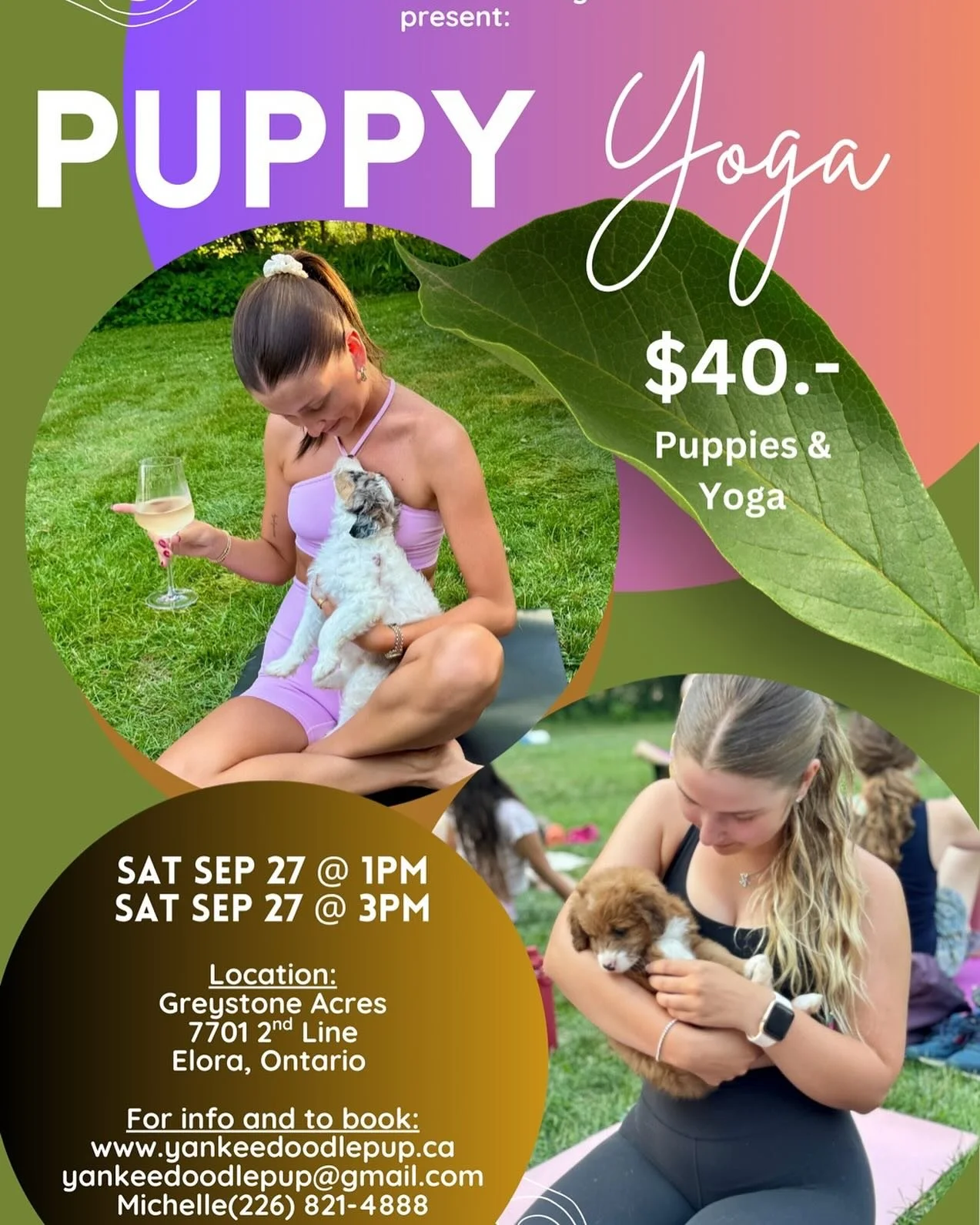 Still space in puppy yoga -3:00 pm session only!