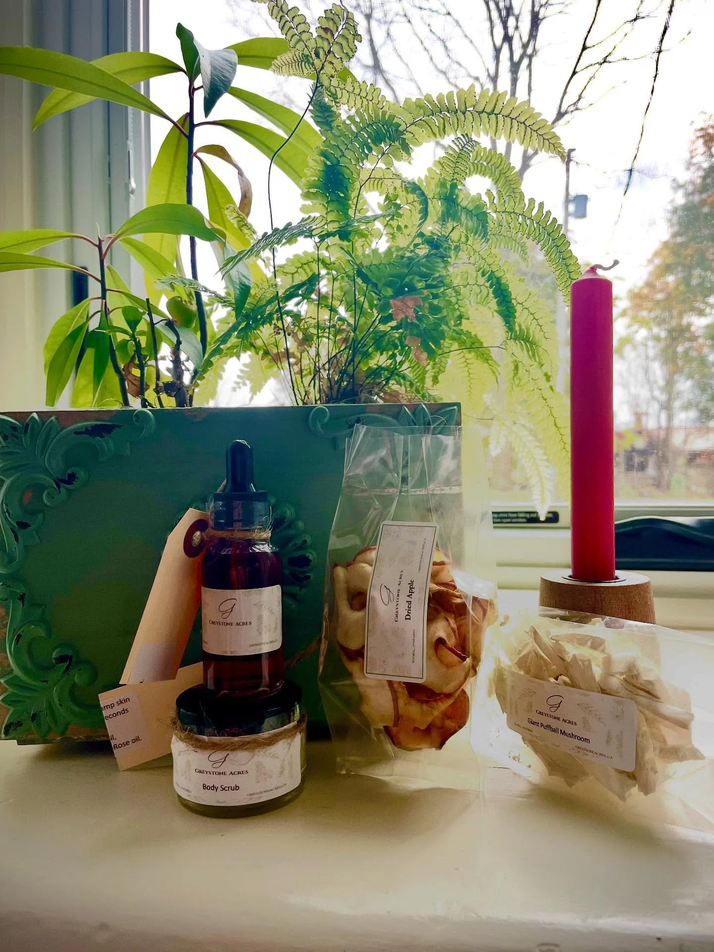 New products at this week's indoor Elora Farmers Market, Jefferson Elora Community Centre. Honey scrubs, propolis tinctures, dried apples, dried puffball mushrooms...and much more!  Be among the first to join the wait list for Grounded with Goats and