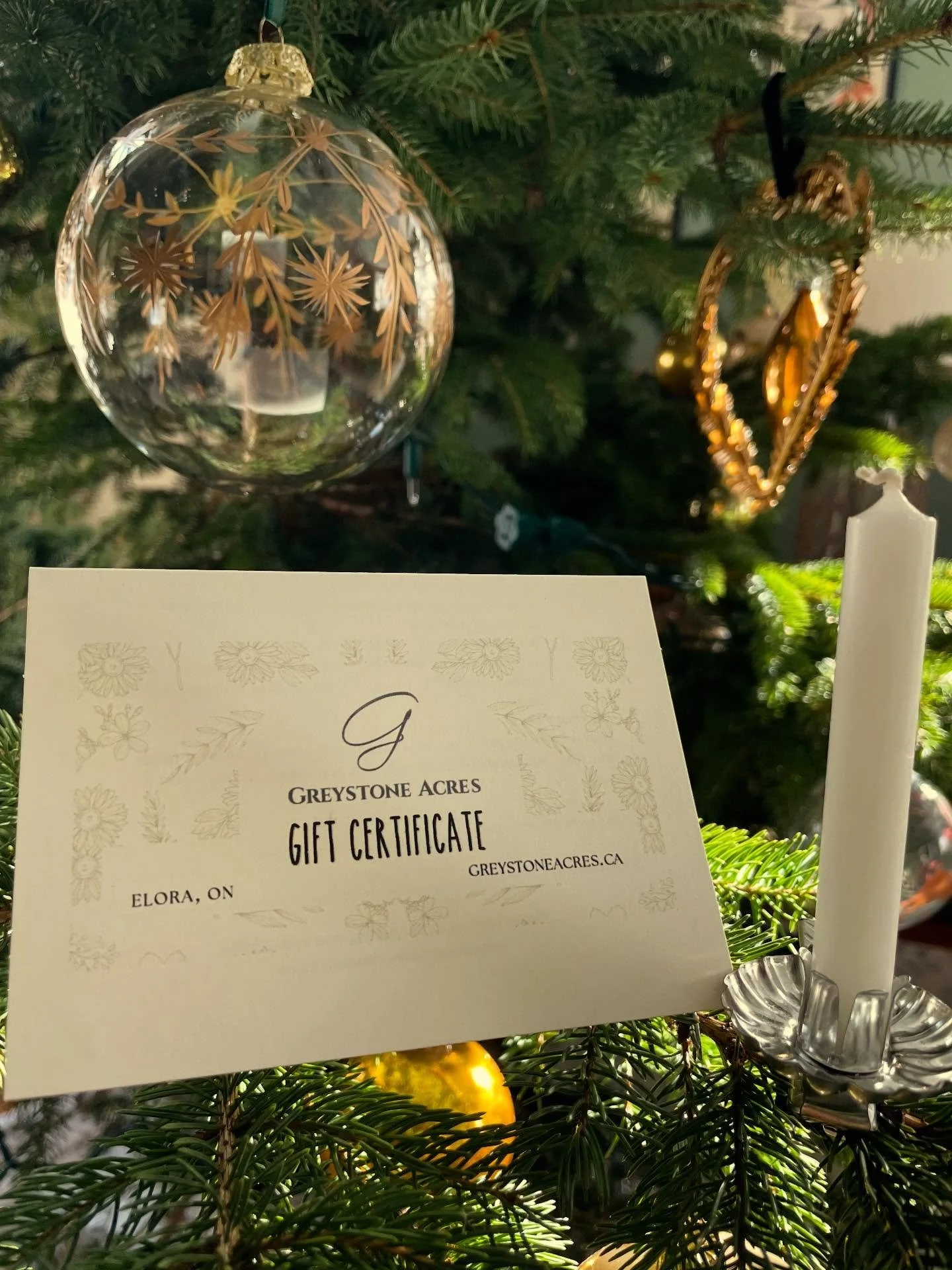 Give the gift of nature's healing abilities. Whether walking our adorable goats on the trails, spending time with them in the pasture, experiencing The Breath of the Hive, adopting bees to claim your own personalized honey, or simply booking your pri