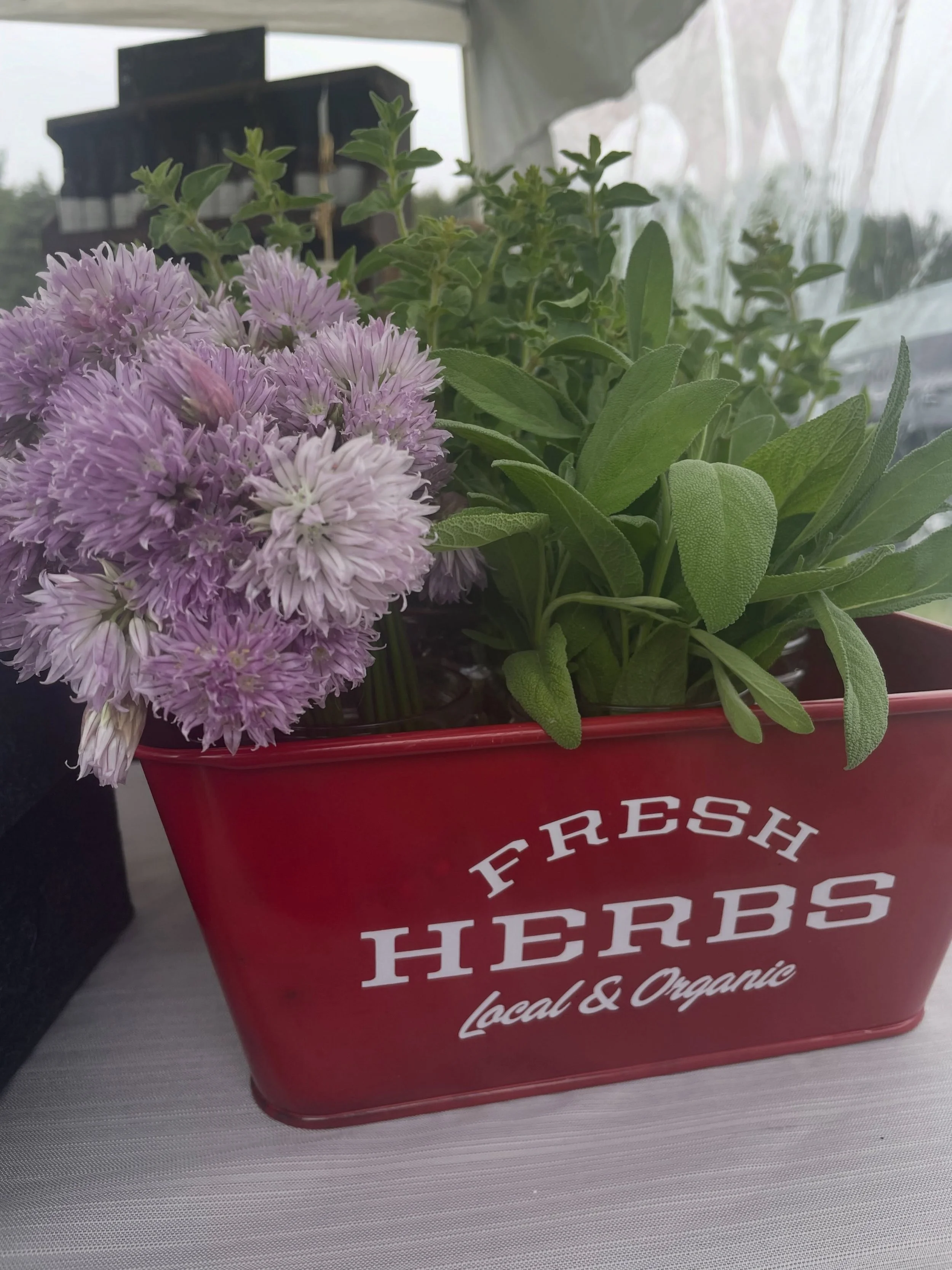 Fresh herbs this week and all our regular favourites. Elora Farmers Market until 1:00! #elorafarmersmarket #shopelora