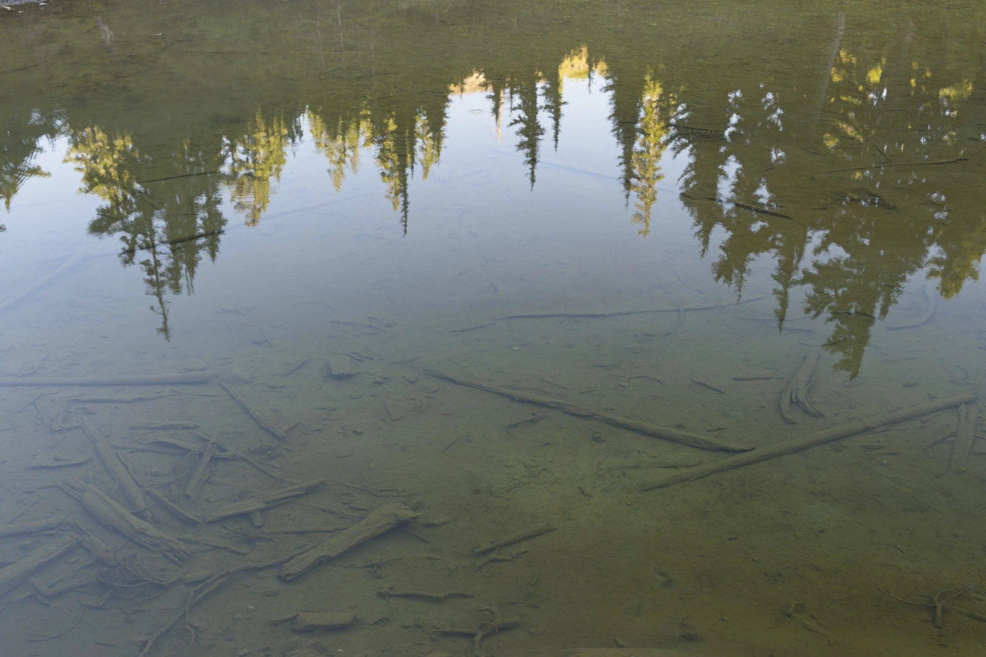 NIKON Z 8￼_MtBaker_BagleyLake_0066_2026-08-20.jpg