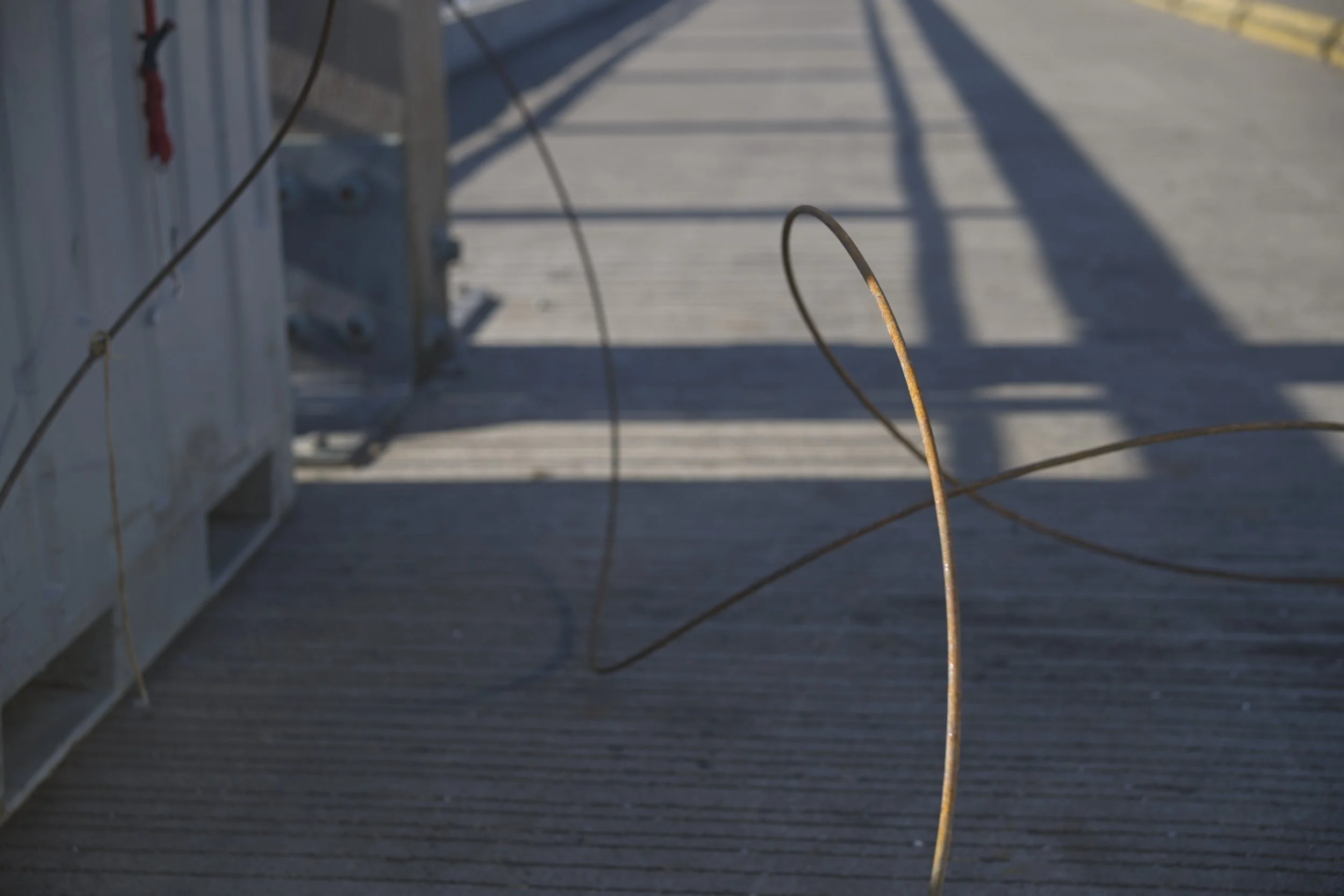 NIKON Z 8￼_HH_Newport_FishingPier_0096_2026-09-09.jpg