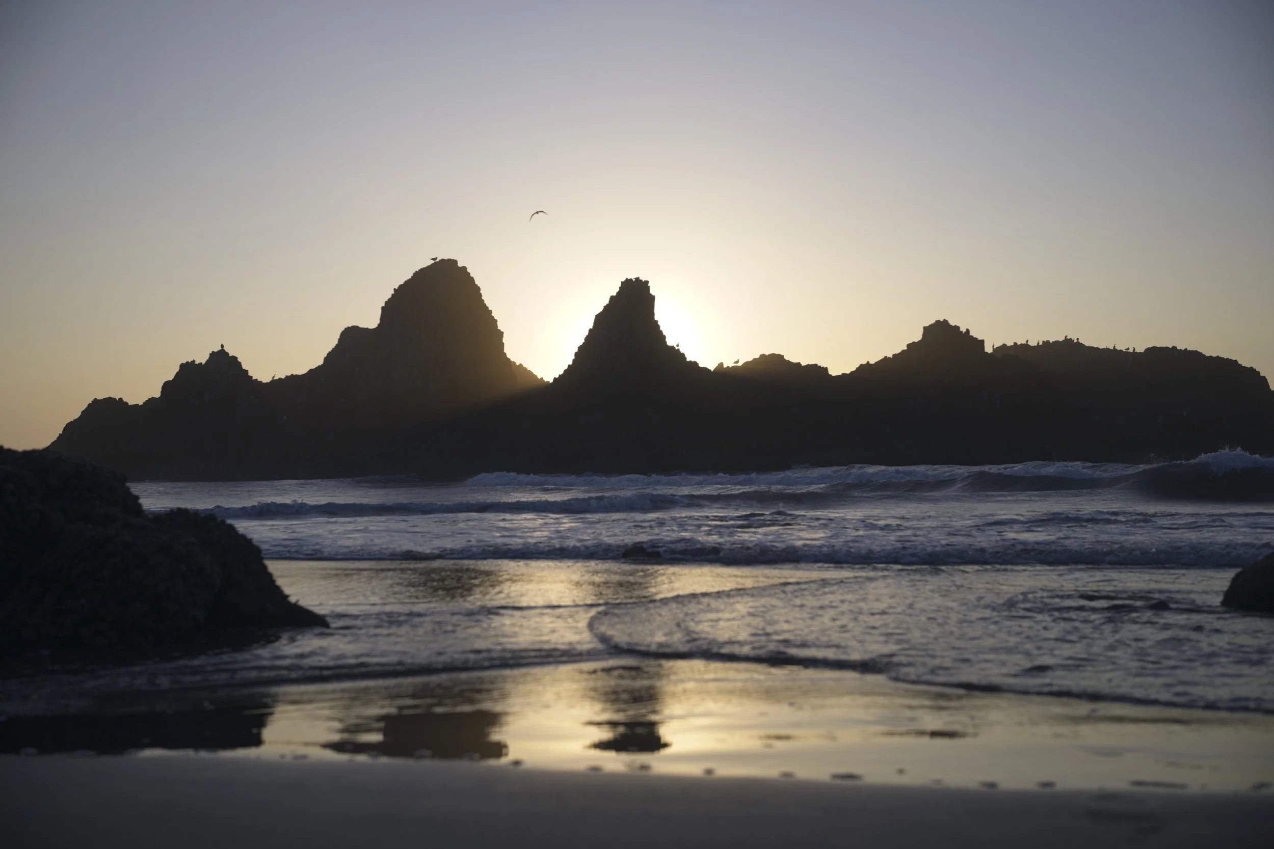 NIKON Z 8￼_HH_SealRock_0705_2026-09-09.jpg