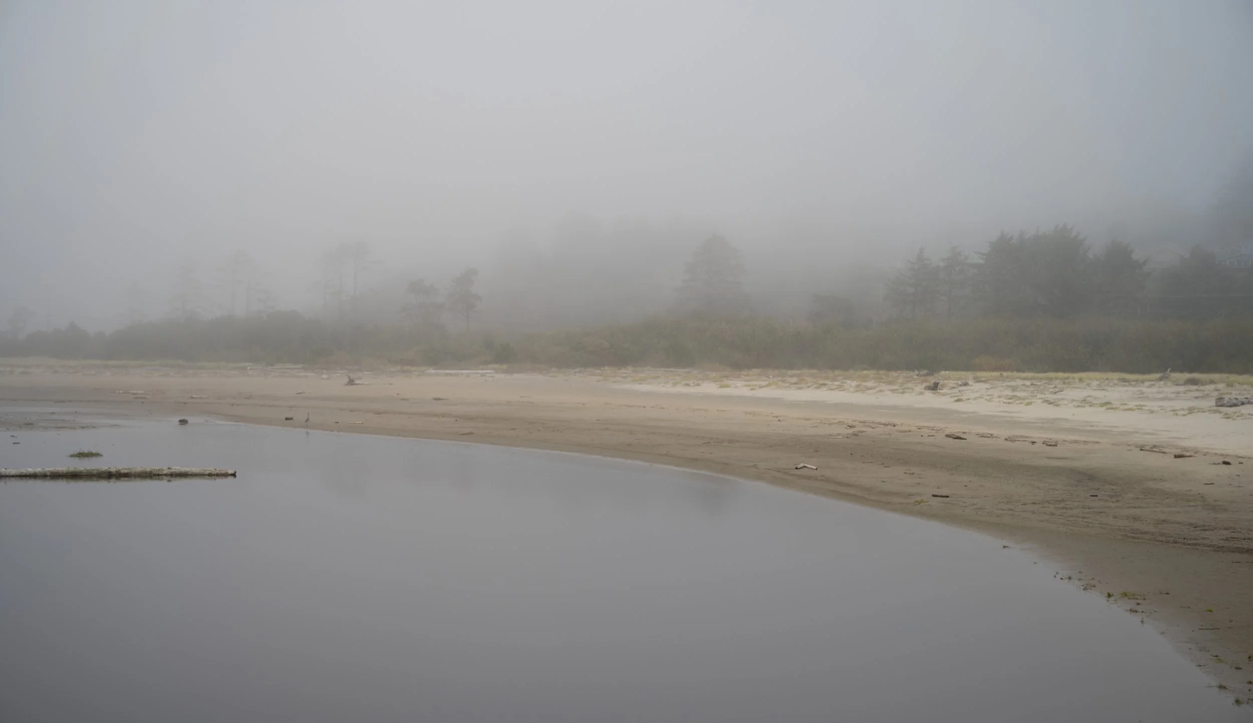 Newport_Beaches_20251003_0671.jpg