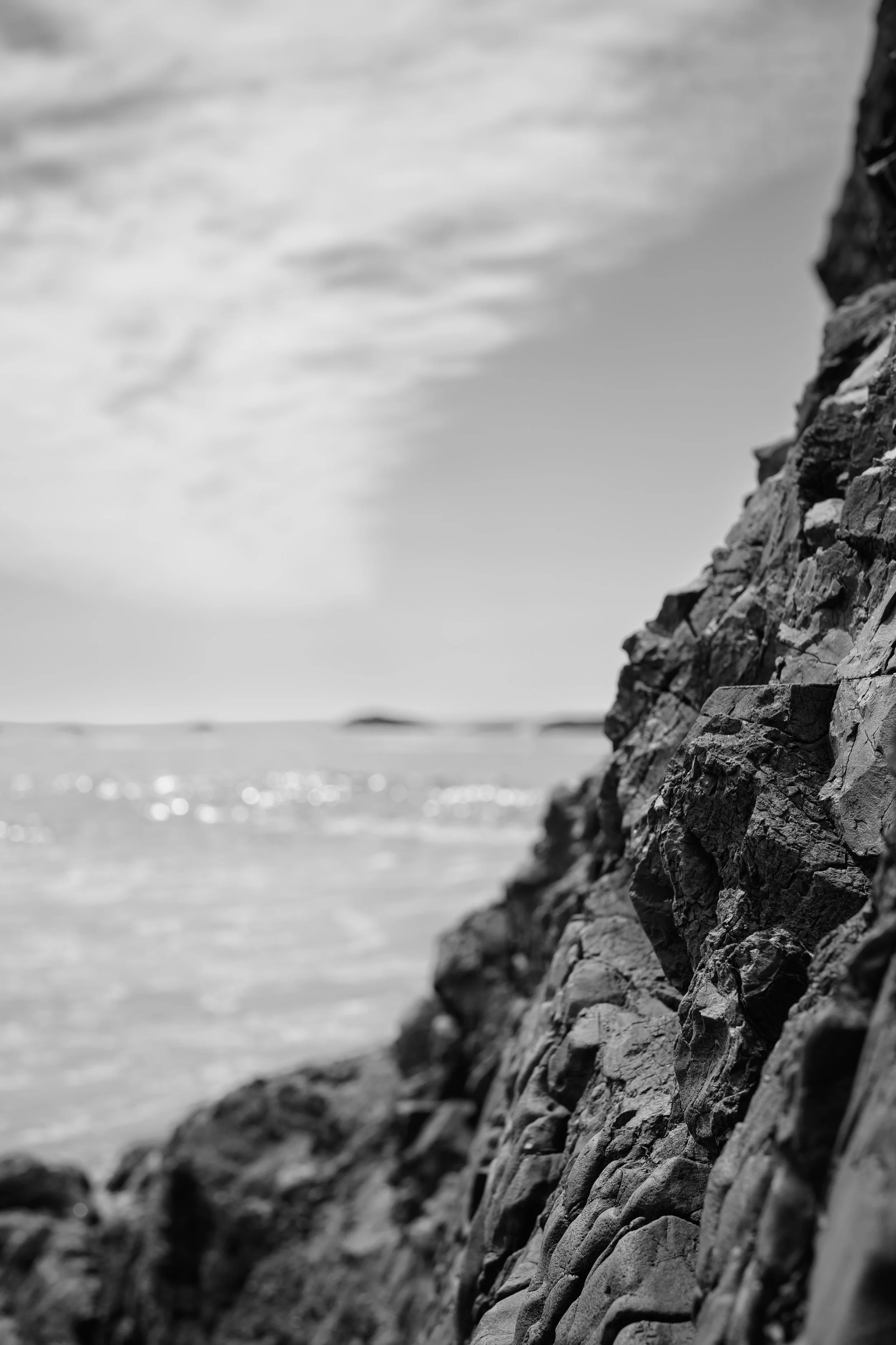 Waldport_SealRock_20250901_0254.jpg