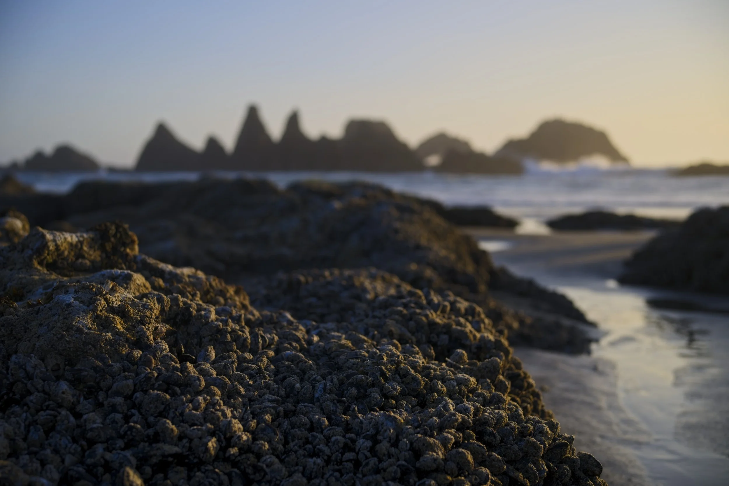 NIKON Z 8￼_HH_SealRock_0658_2026-09-09.jpg