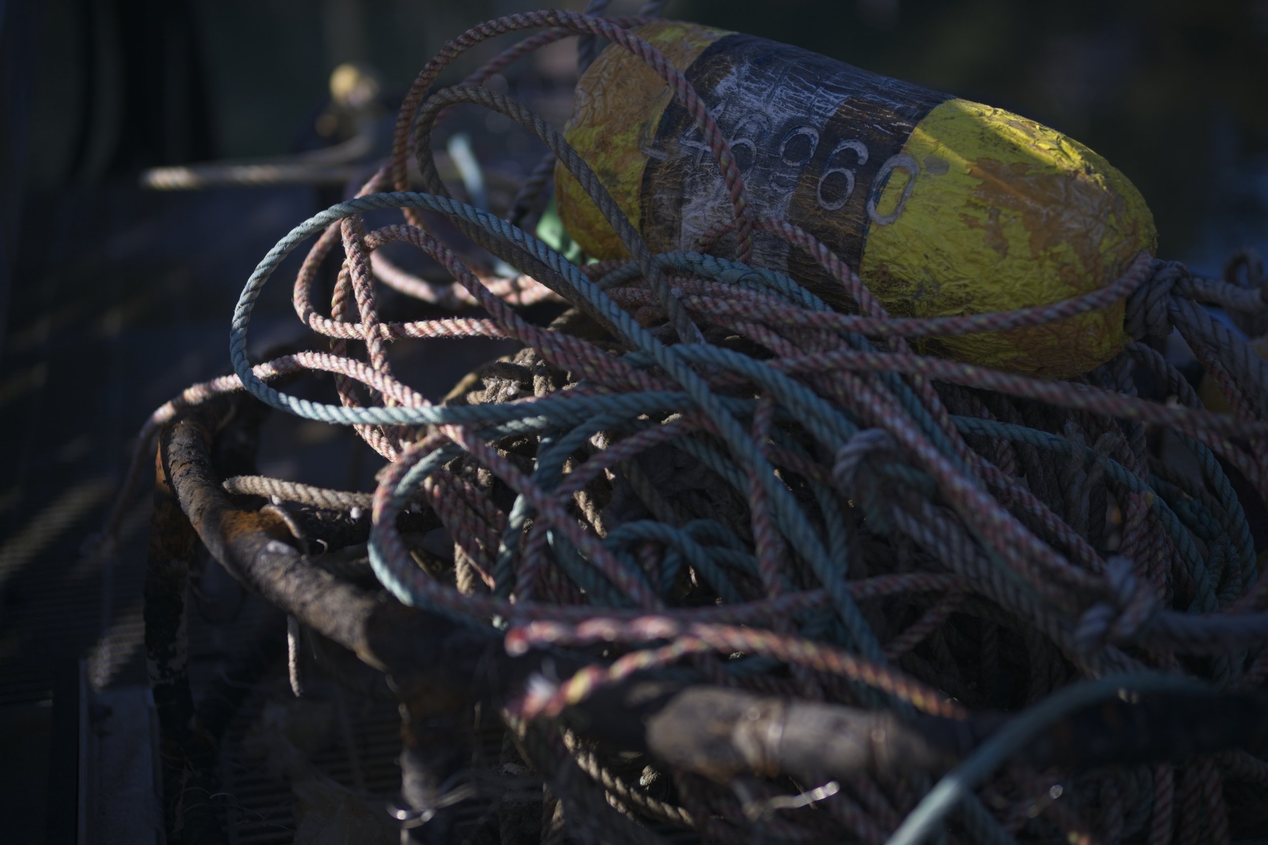 NIKON Z 8￼_HH_Newport_FishingPier_0085_2026-09-09.jpg