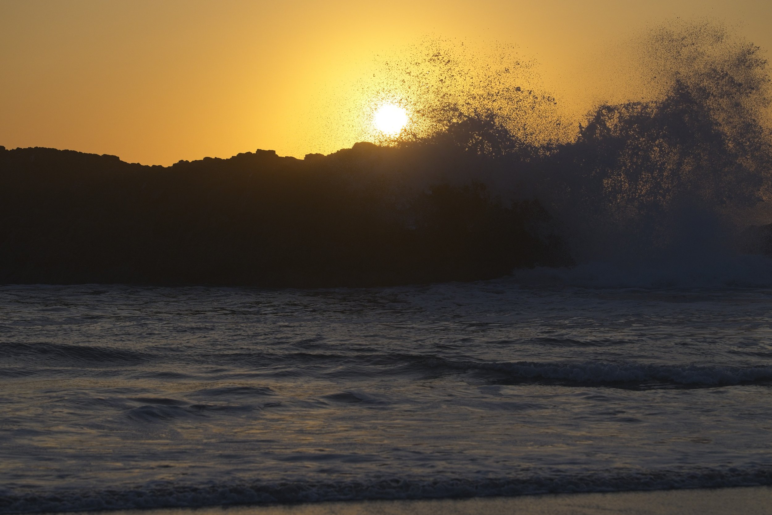 NIKON Z 8￼_HH_SealRock_0725_2026-09-09.jpg