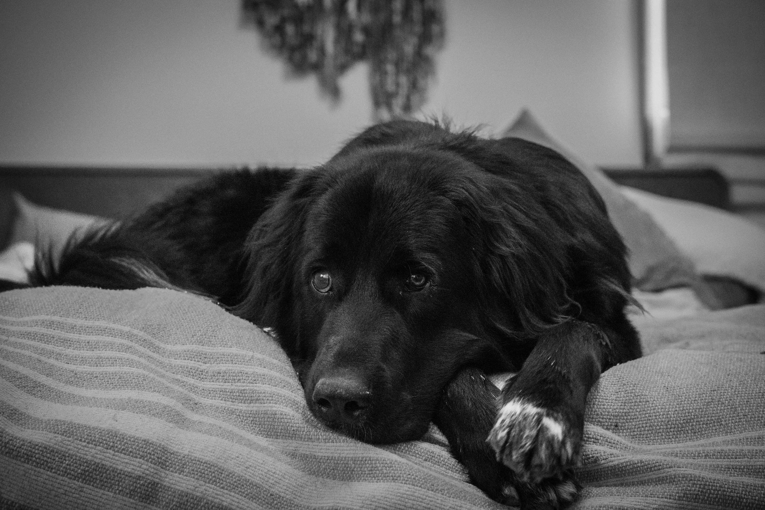 Home_Hank_20250716_0863.jpg