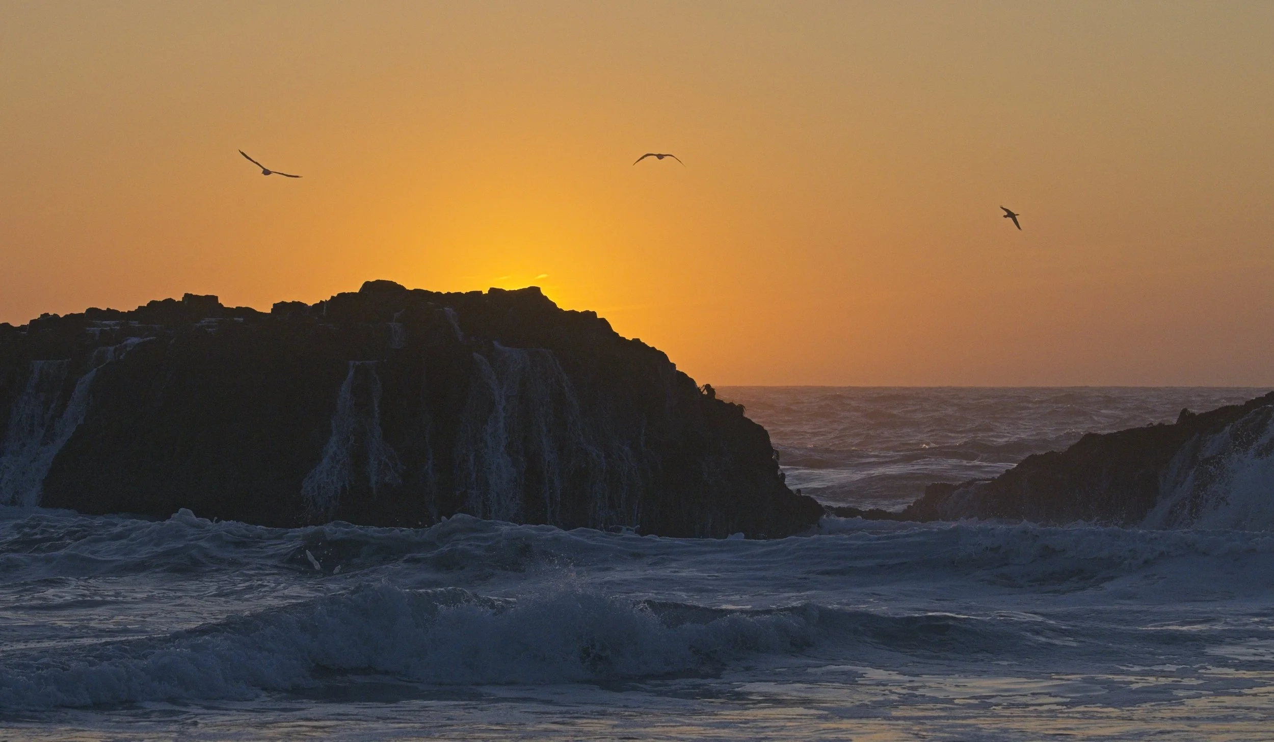 NIKON Z 8￼_HH_SealRock_0797_2026-09-09.jpg