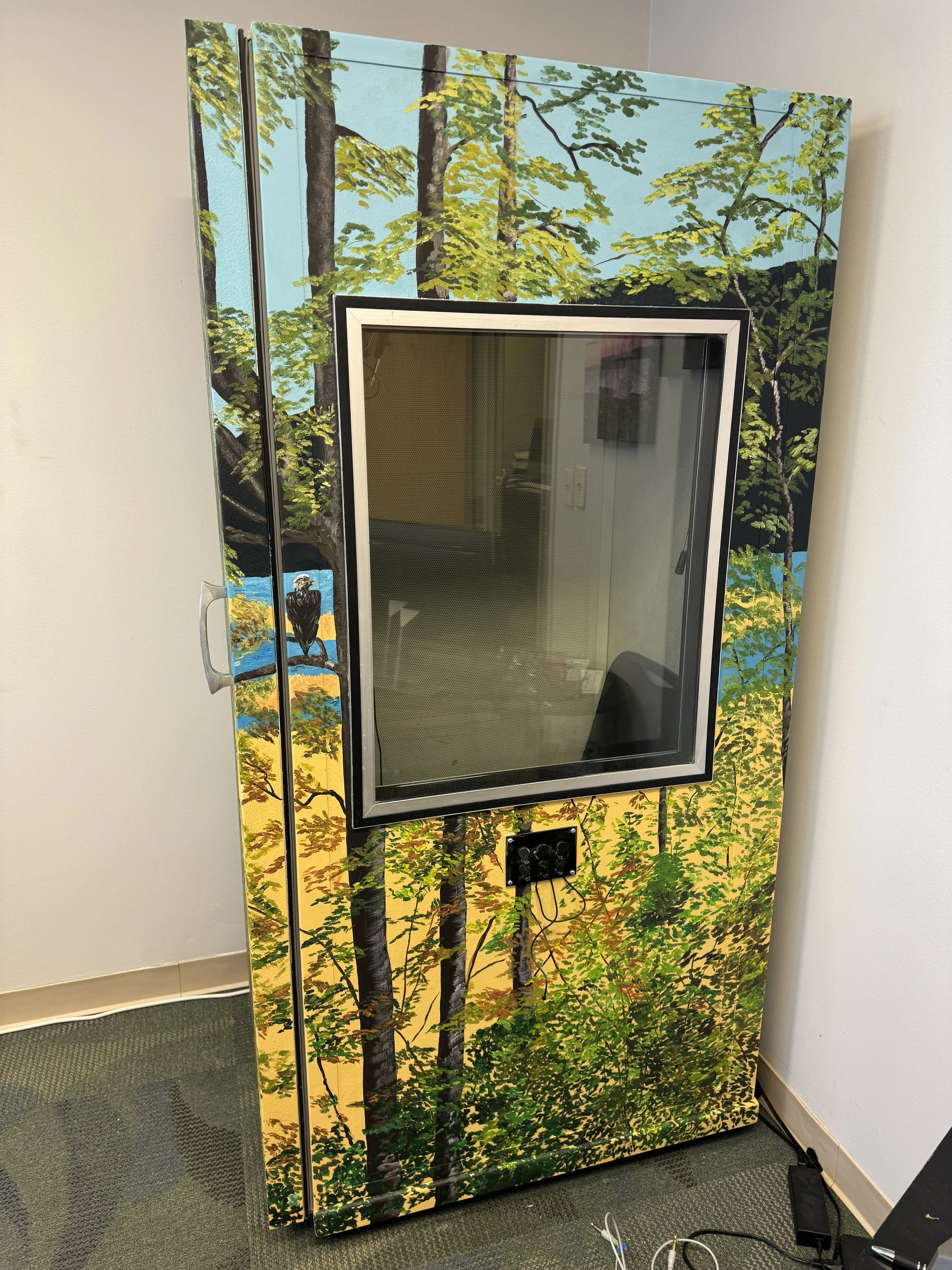 Forest mural - hearing booth at Alaska Hearing and Tinnitus Center Eagle River