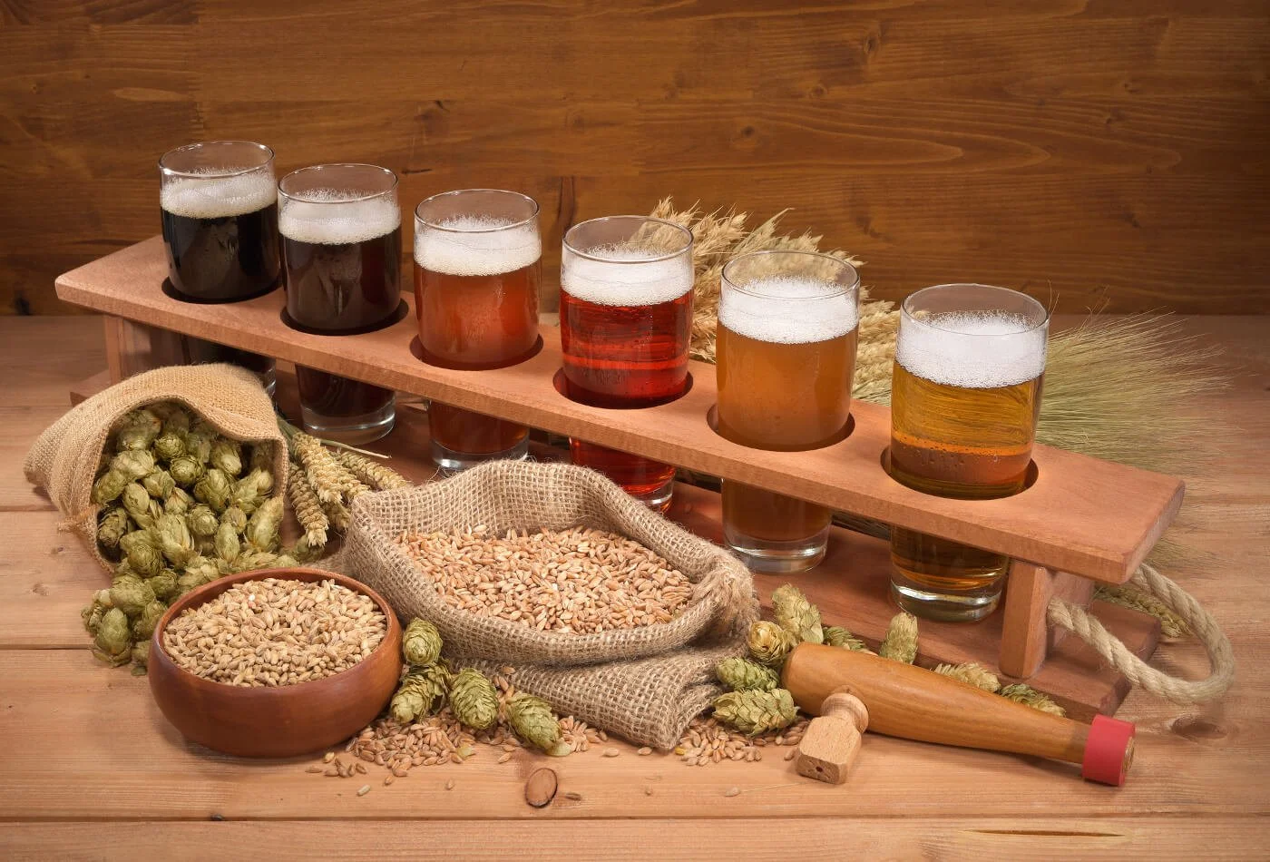 Six glasses of different beers on a wooden stand with hops, barley, and barley roasting tools on a wooden table.