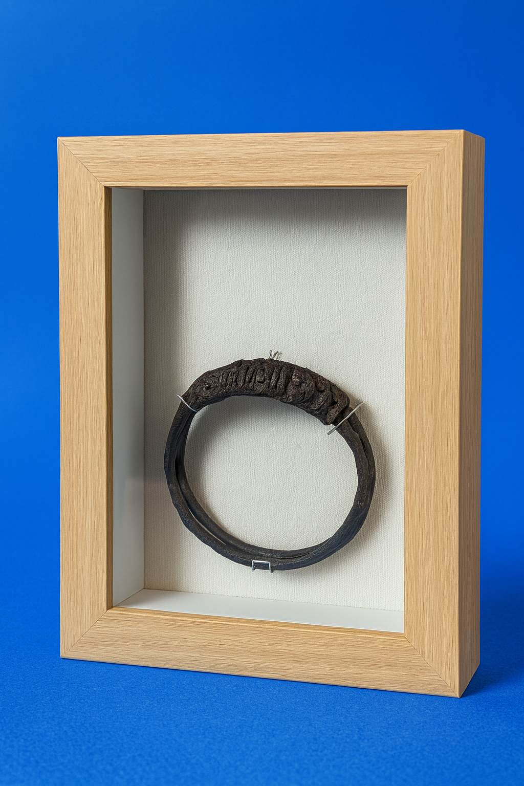A framed display containing a dark, circular object with textured, engraved surface, mounted against a light background.