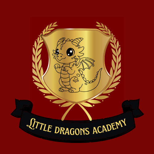 Little Dragons Academy
