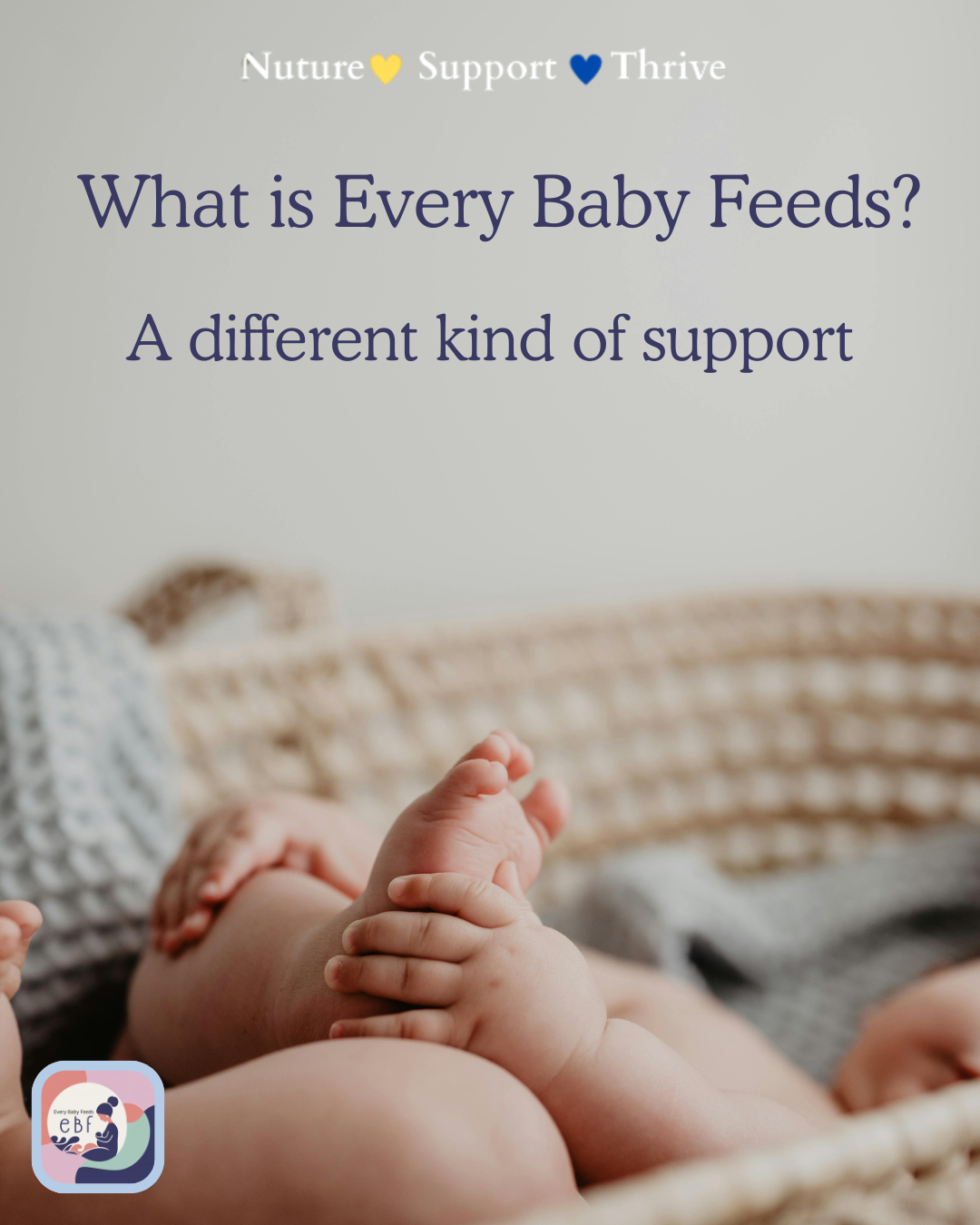 What is Every Baby Feeds?