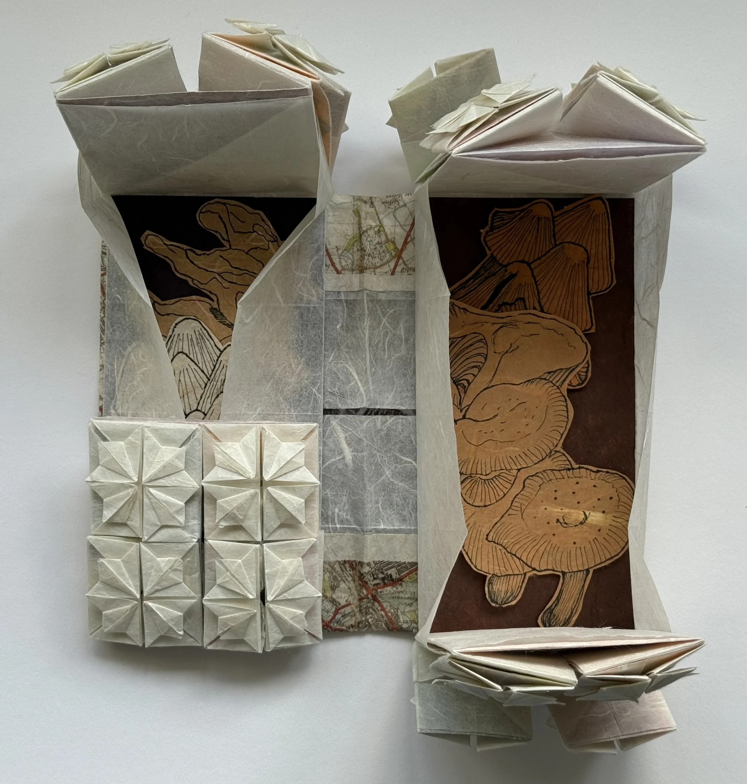 Open with open layer fur pockets: double-sided and removable mushroom and fungus illustrations