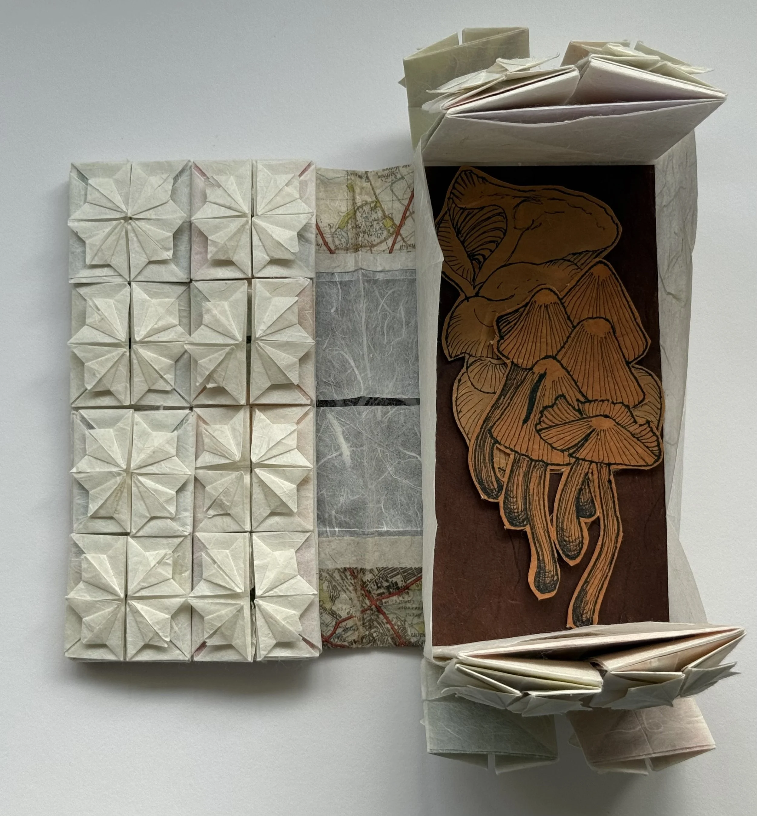 Open with open layer four pockets: double-sided and removable mushroom and fungus illustrations