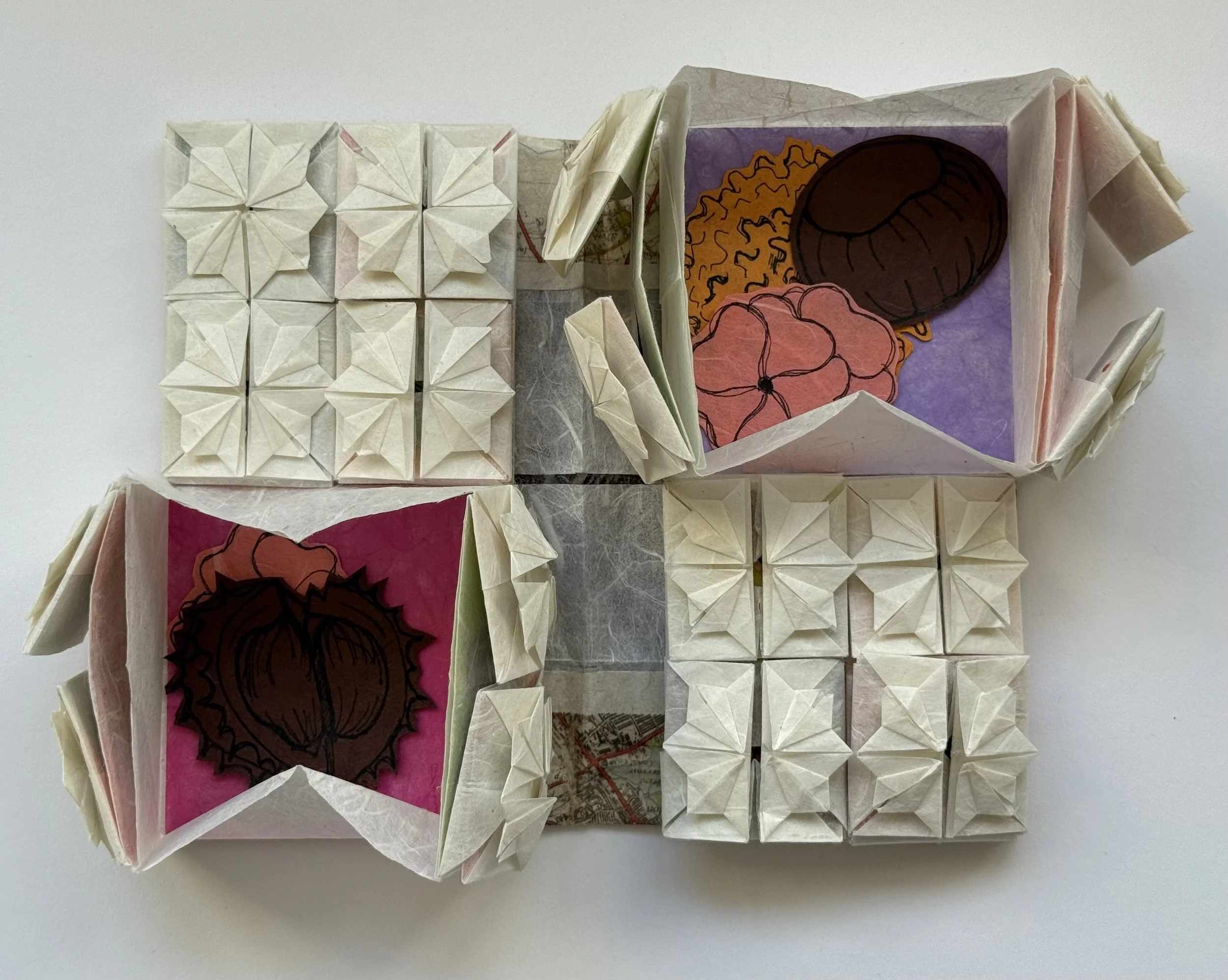Open with open layer three pockets: double-sided and removable petals, acorn and conker illustrations