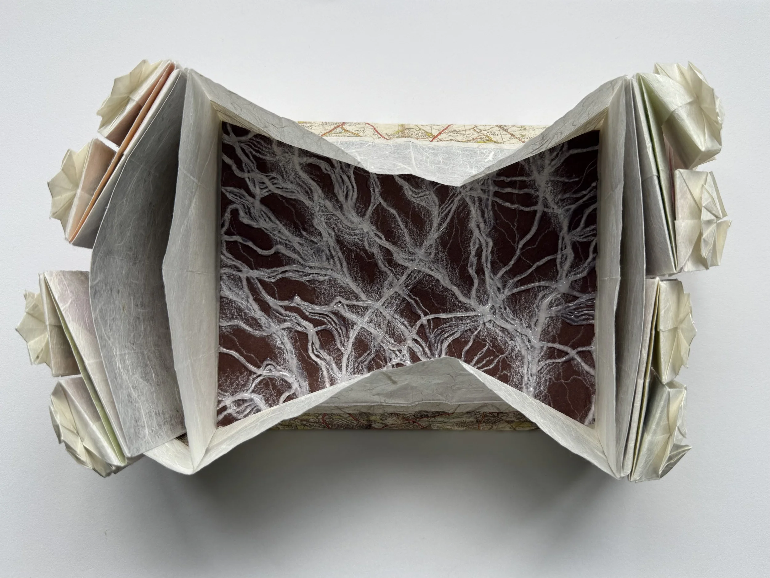 Open with open final layer five pocket: fixed mycelia network illustration
