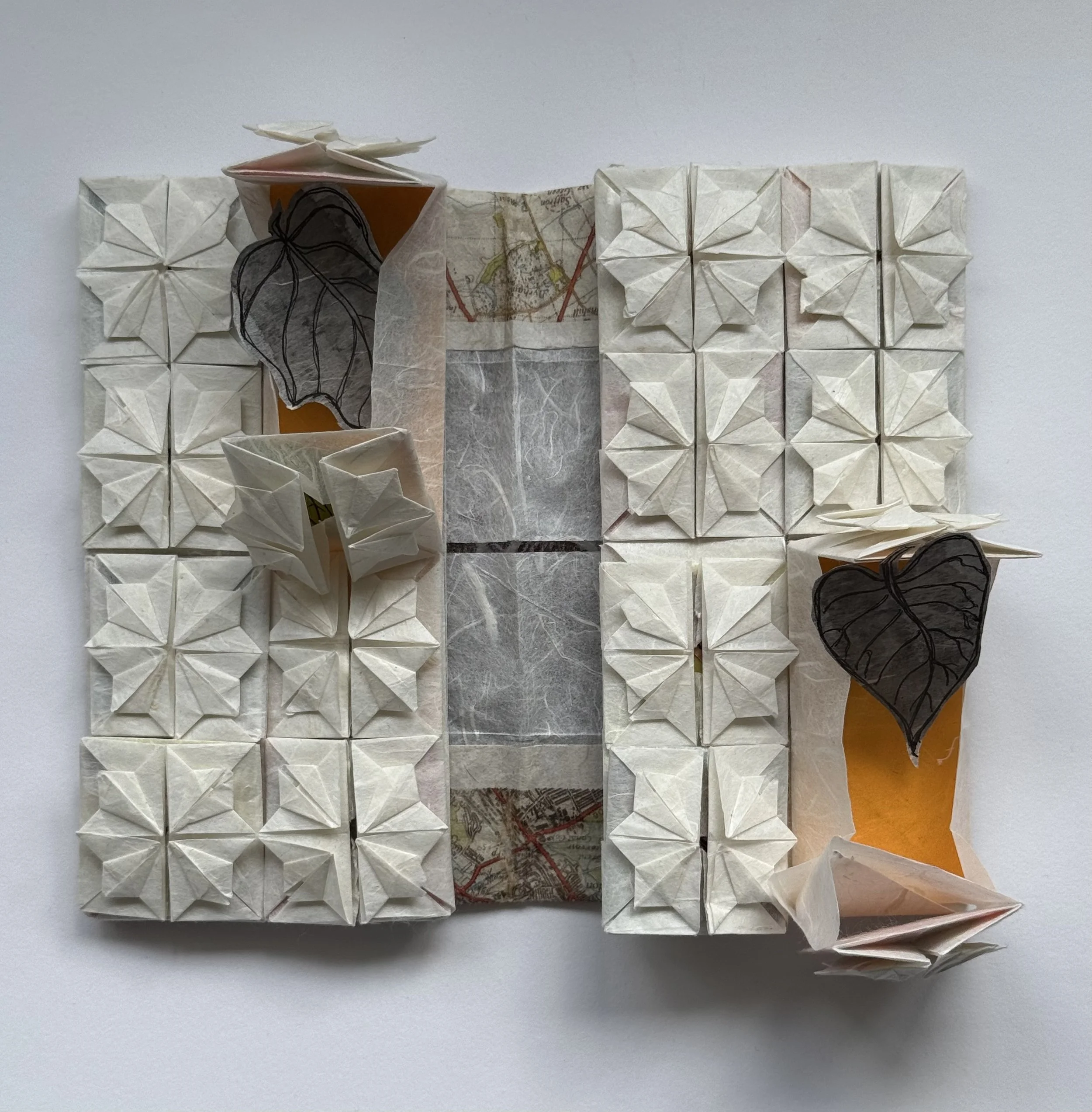 Open with open layer two pockets: double-sided and removable leaf illustrations