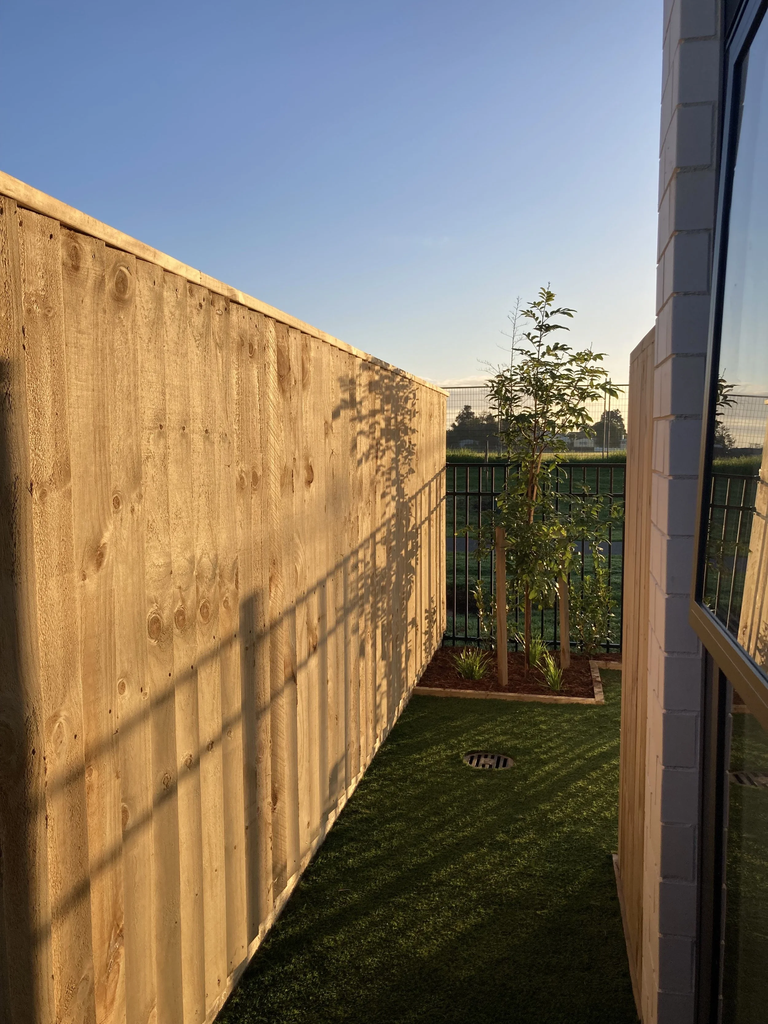 Sunlit backyard with a tall wooden fence on the left, a small tree with support stakes in the corner, green grass, a drainage grate on the ground, and a white brick building with a window on the right, under a clear blue sky.