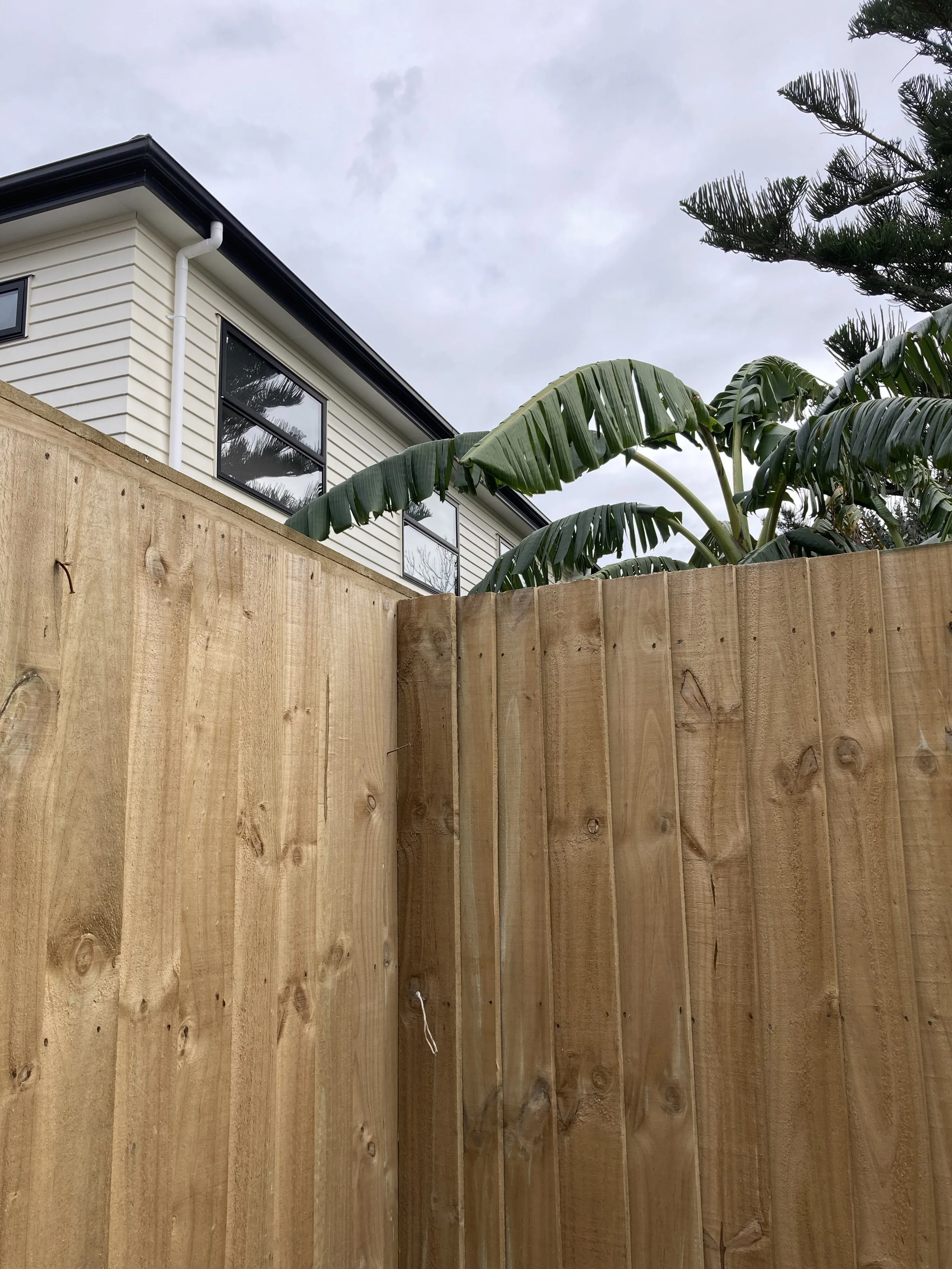 Timber Paling Fence