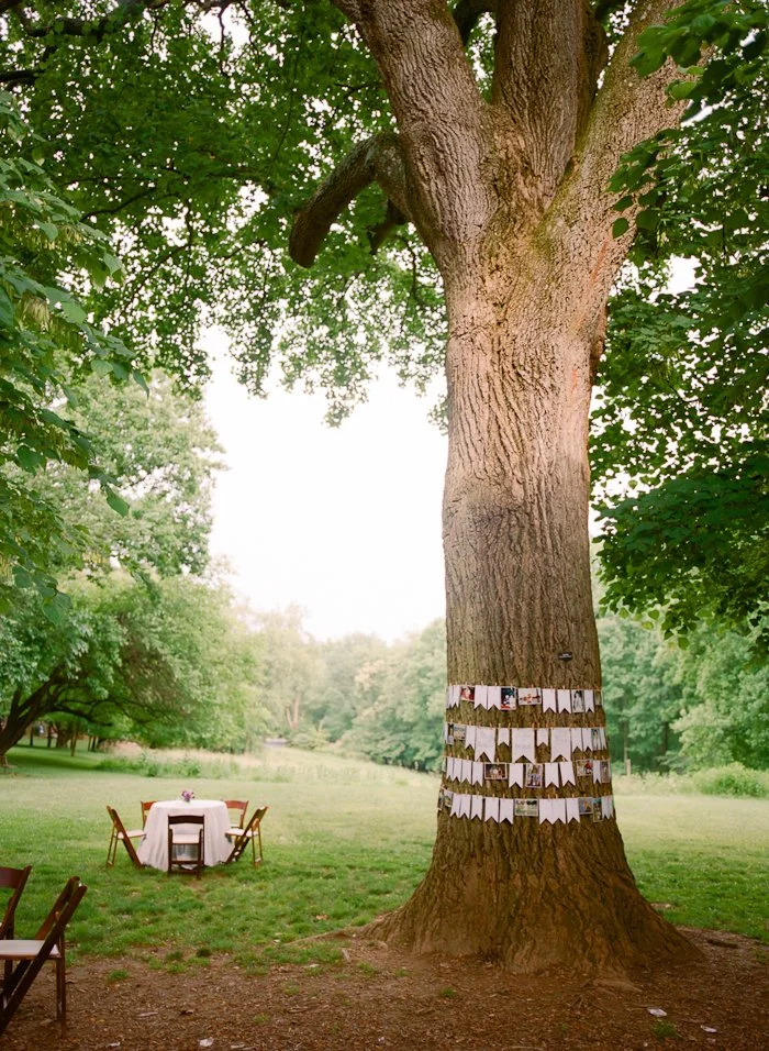 Photographer: Abby Jiu