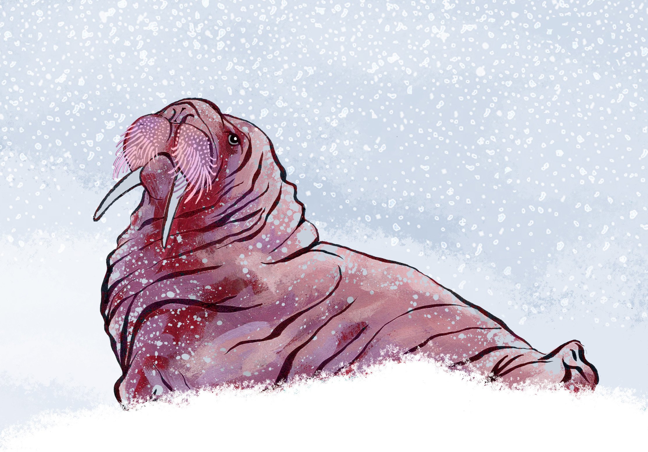 Let it Snow