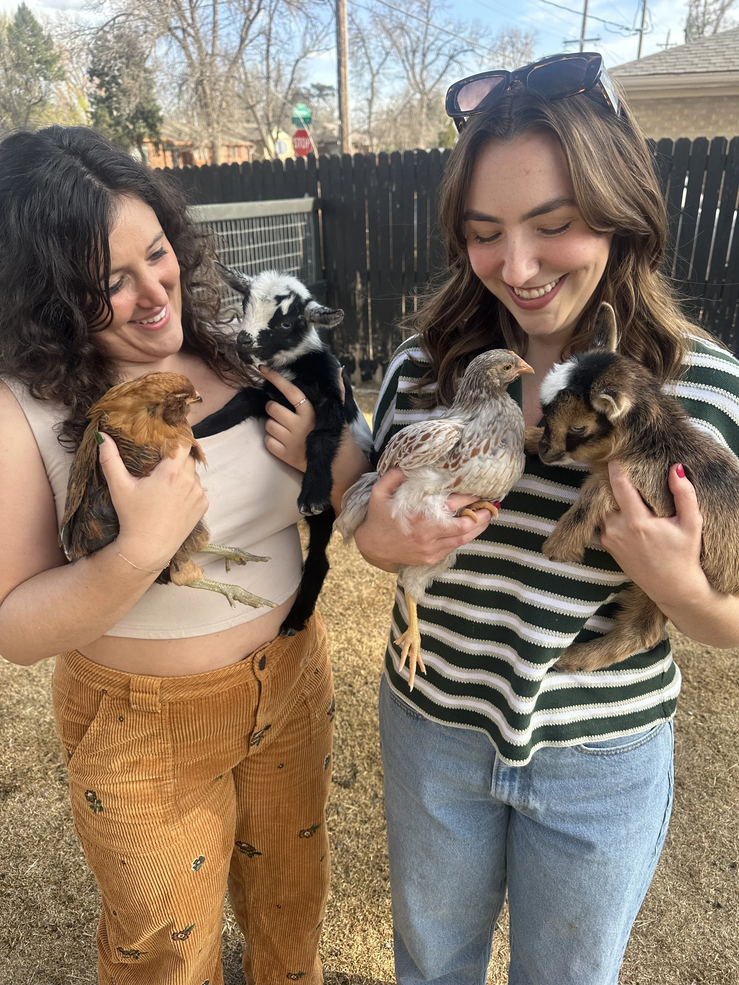 Two women smiling and holding various types of farm animals including a chicken, a rabbit, a hawk, a goat, and a rabbit outdoors near a black fence on a sunny day.