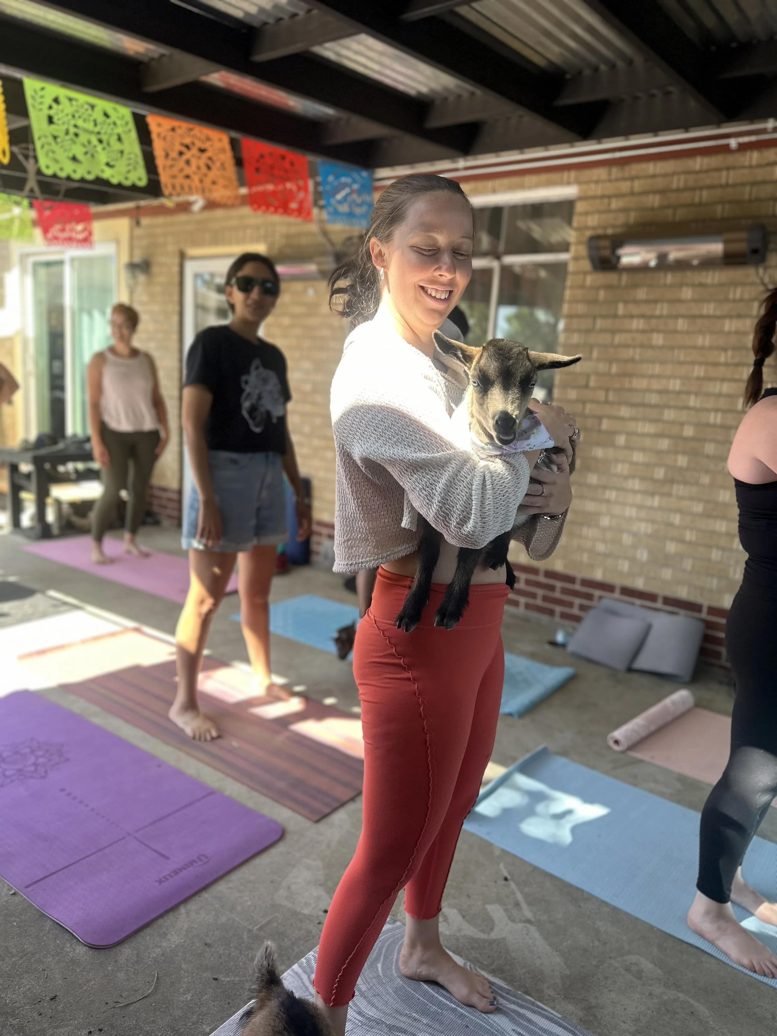 Baby Goat Yoga at FlyteCO