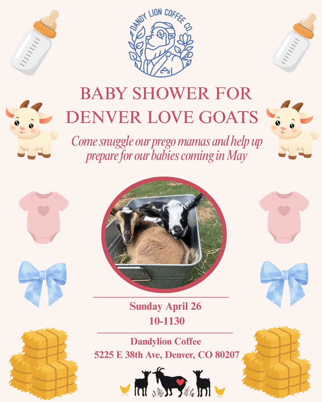 Baby Shower for Denver Love Goats 