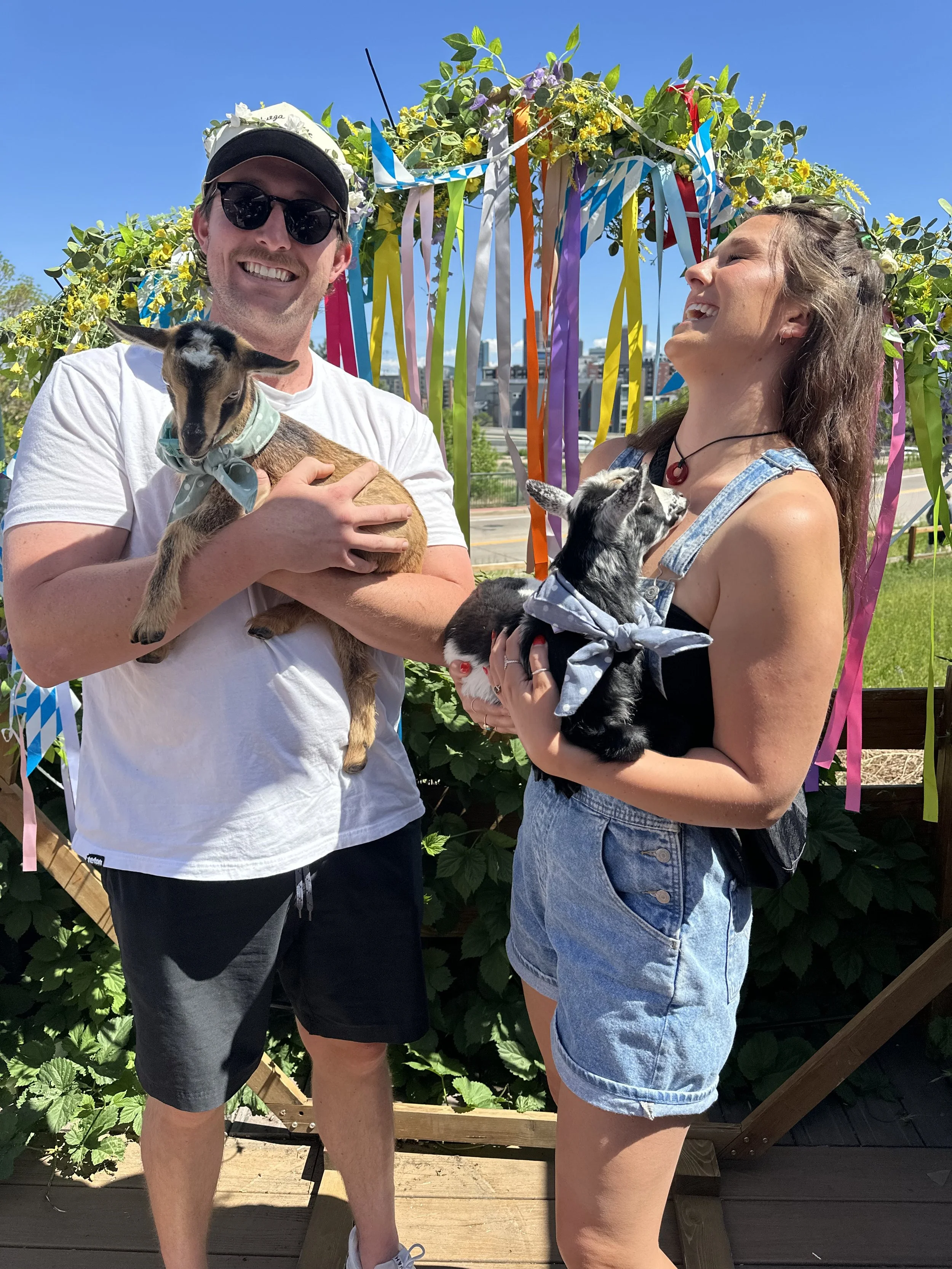 Goats at Prost Brewing 