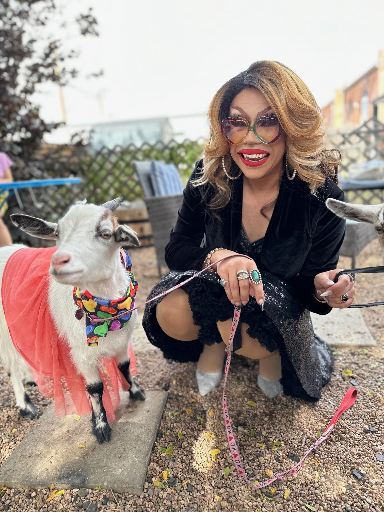 Drag Queen Story Hour with LaLa and Baby Goats! 