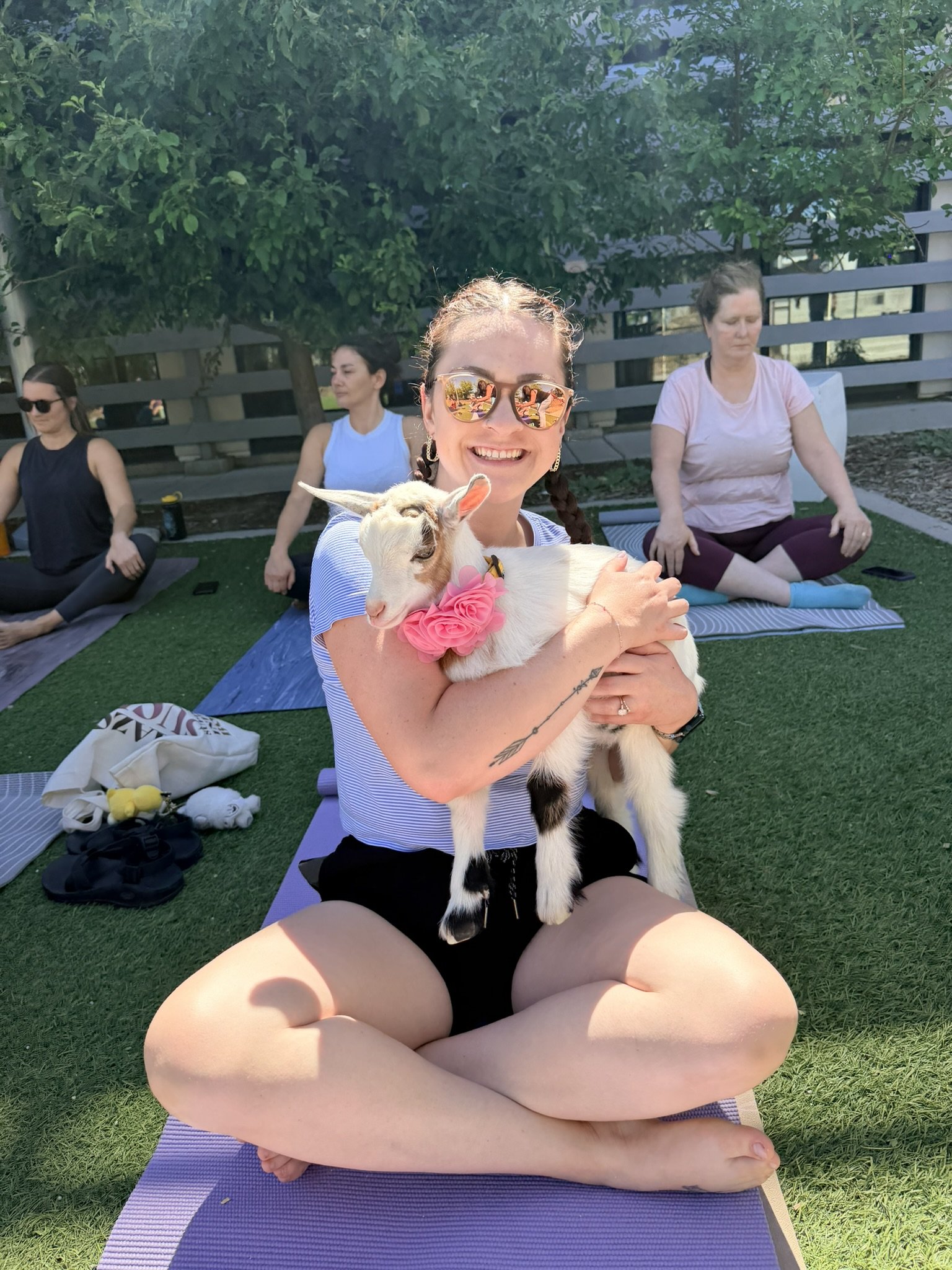 Sunset Baby Goat Yoga 