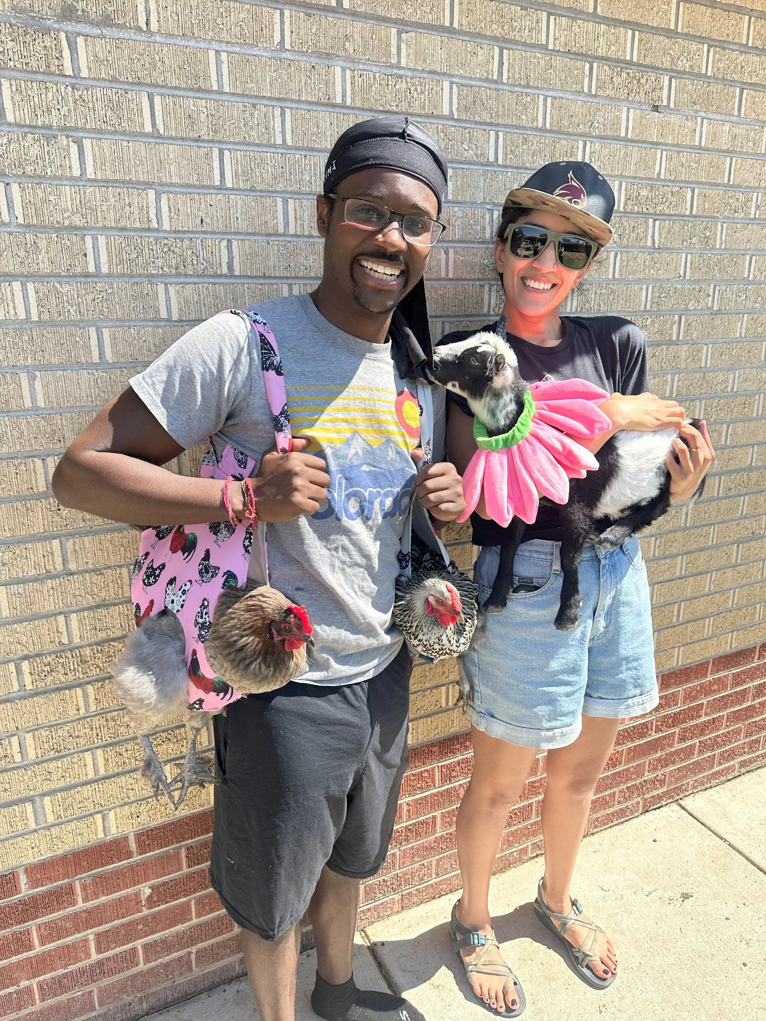 Two people smiling, standing outdoors against a brick wall, each holding farm animals: a man with chickens in a pink animal-print bag and a woman with a goat wearing a pink flower costume. Both are wearing casual summer clothing and sunglasses.