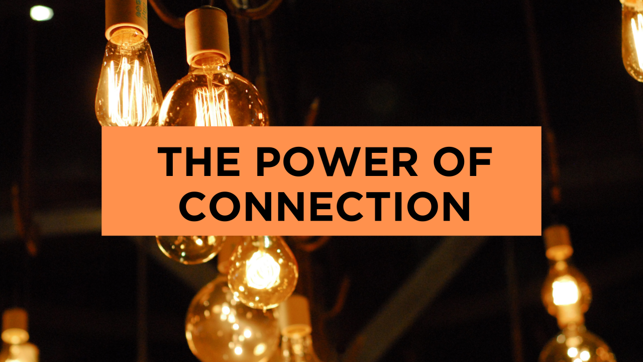 The power of Connection mental health article