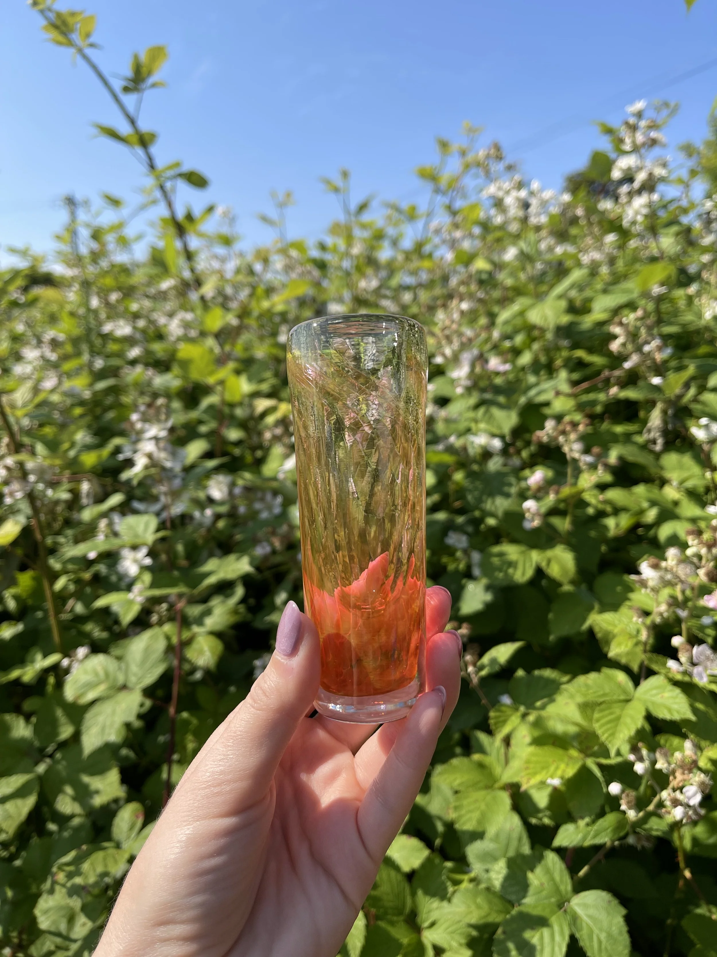 A hand holding a glass with some pink and green plant material inside, against a background of lush green foliage and blue sky.