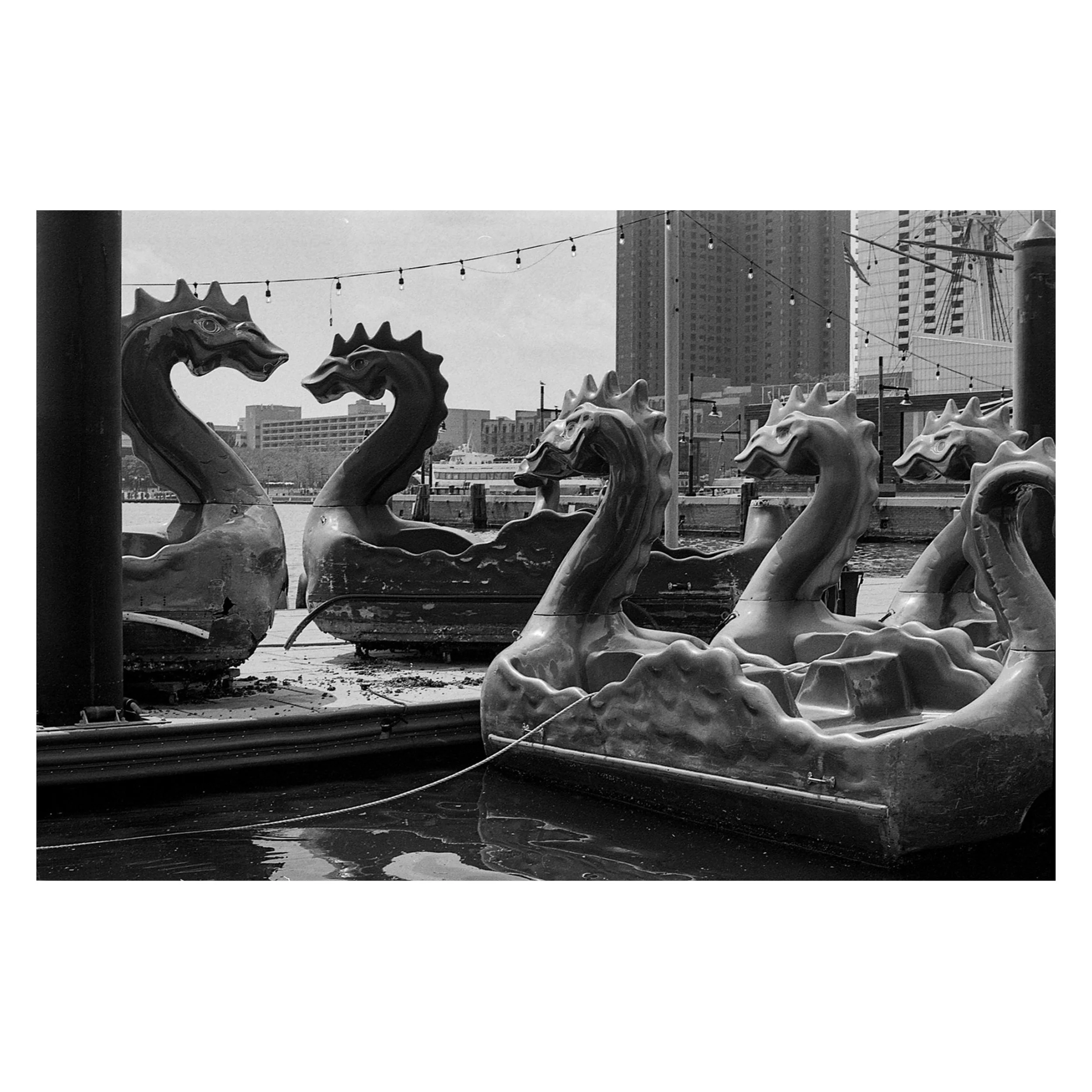 DragonBoat Product Pic Web.jpg