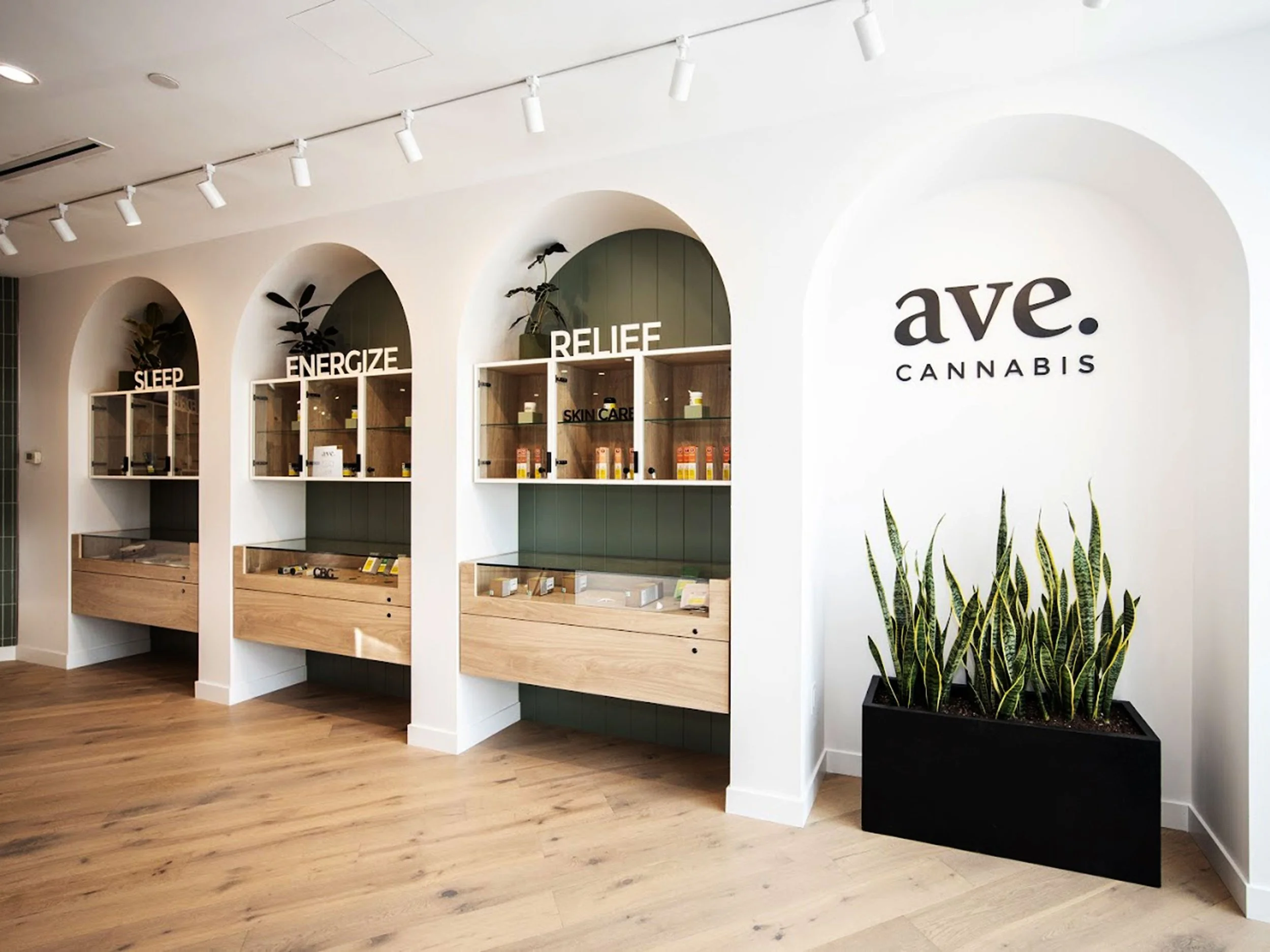 Interior of a retail space with wooden flooring and white walls, featuring three arched display alcoves labeled 'Sleep,' 'Energize,' and 'Relief,' with shelves holding wellness products, next to a large sign that reads 'ave. CANNABIS,' and a tall black planter with green snake plants.