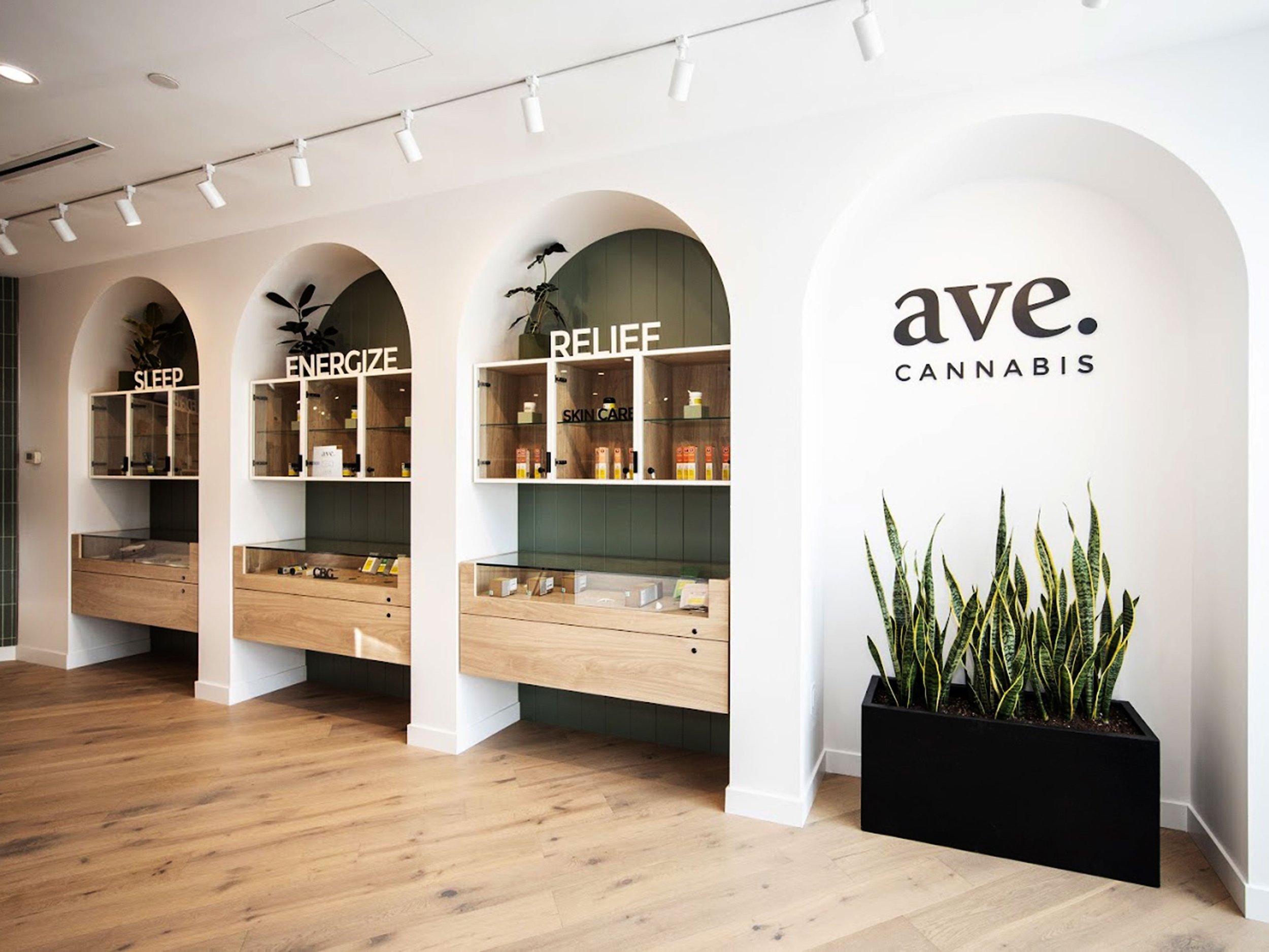 Interior of a cannabis retail store with wooden display shelves labeled 'Sleep,' 'Energize,' and 'Relief,' and a large sign on the wall that reads 'ave. CANNABIS'; there are potted plants and a row of tall snake plants in a black planter to the right.