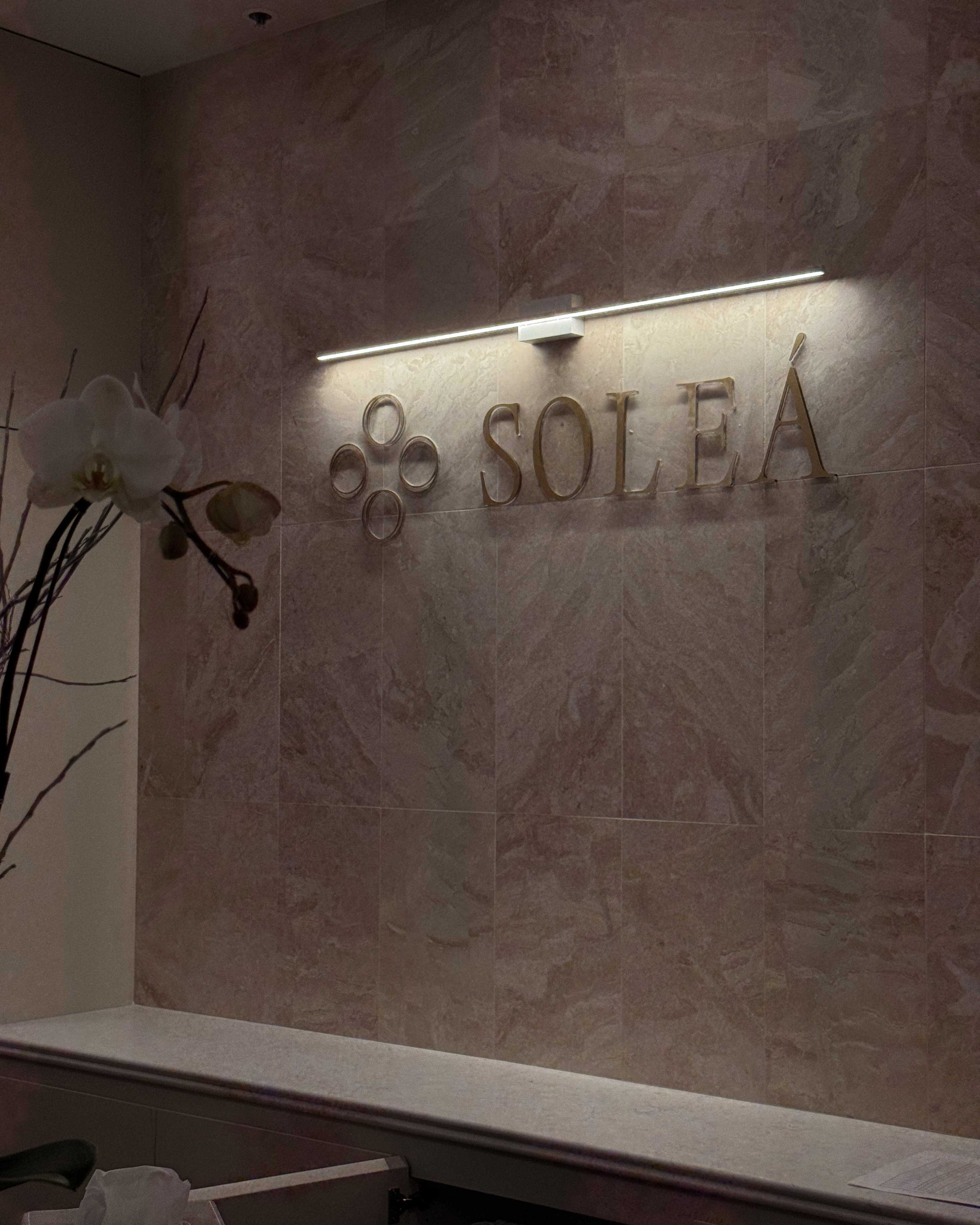 Spa facility reception wall with a decorative sign that reads 'Soleá' and a stylized flower, illuminated by a linear light fixture, with a vanity counter and some scattered items in the foreground.