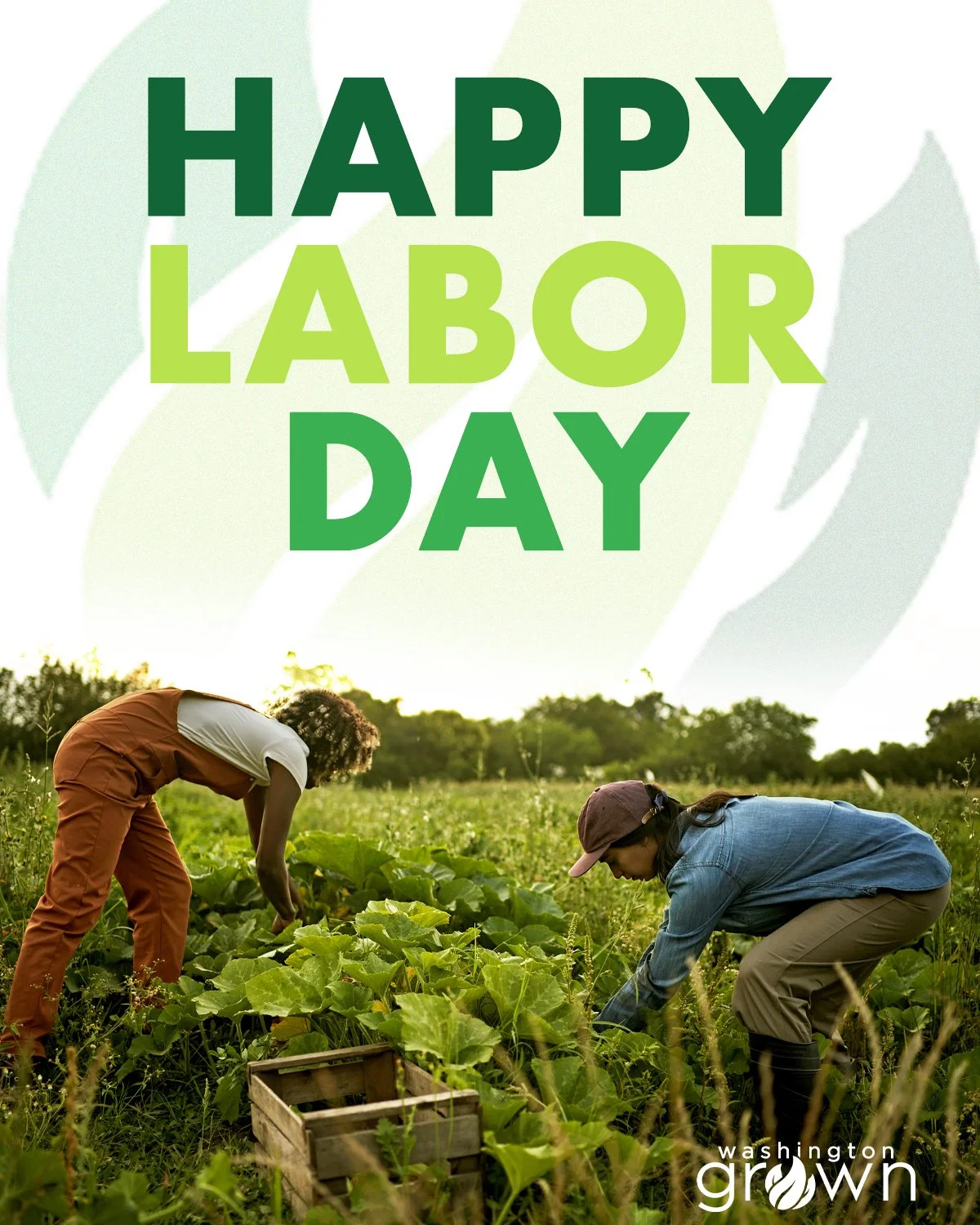 labordaywagrown.jpeg