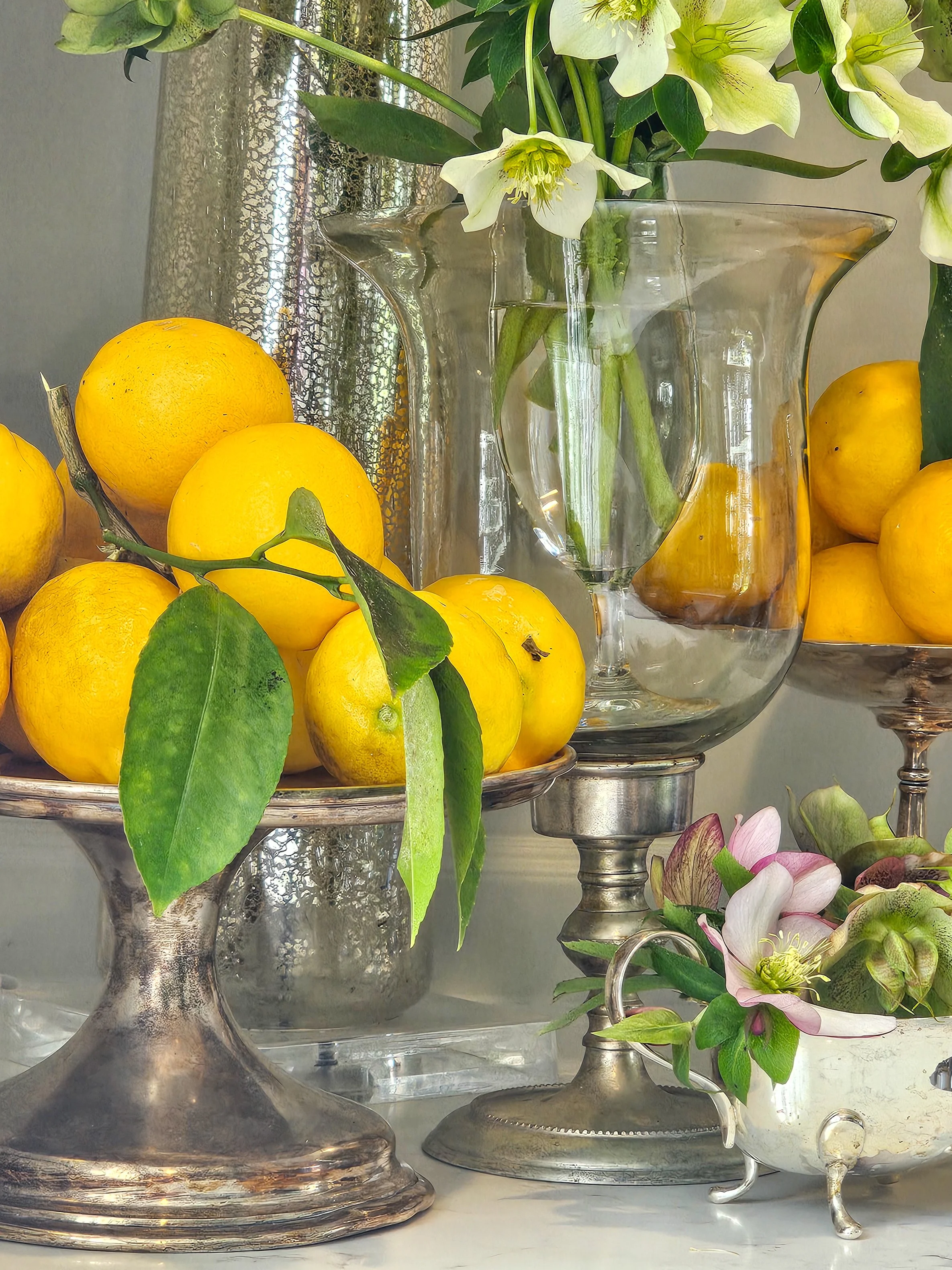 Hellebore House, 58a Jellicoe Street