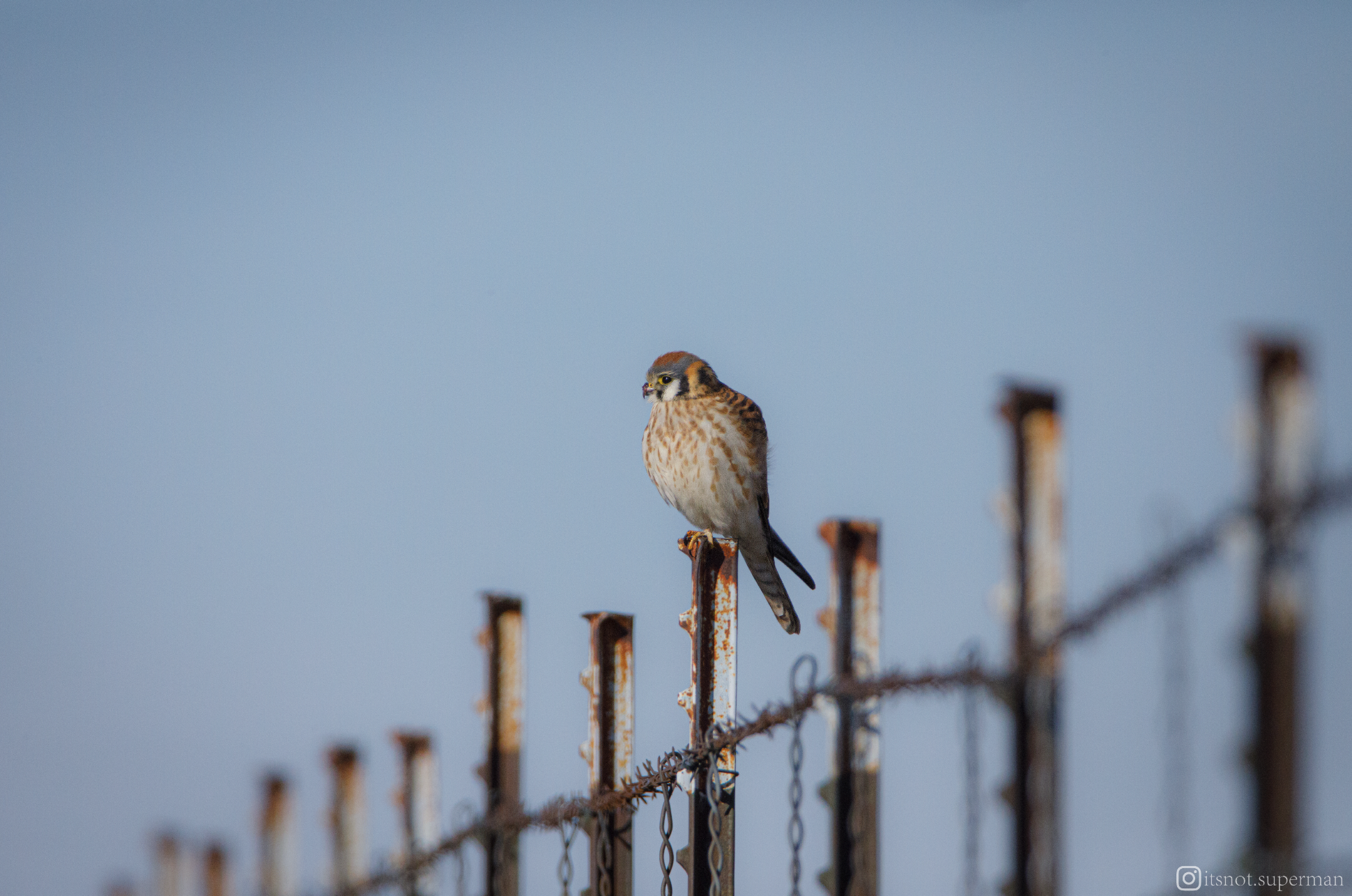 Screenshot 2025-08-24 at 10.06.39 PM.png