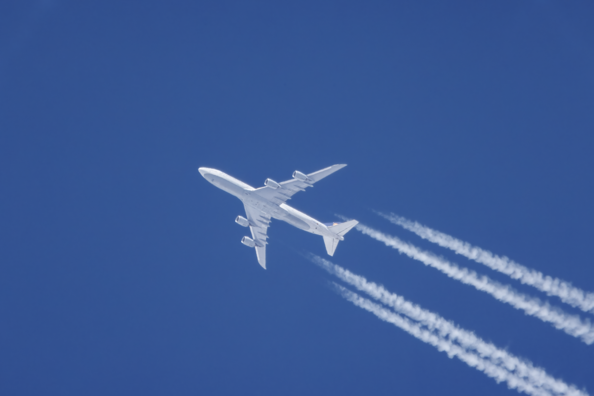 Screenshot 2025-08-25 at 11.12.21 AM.png