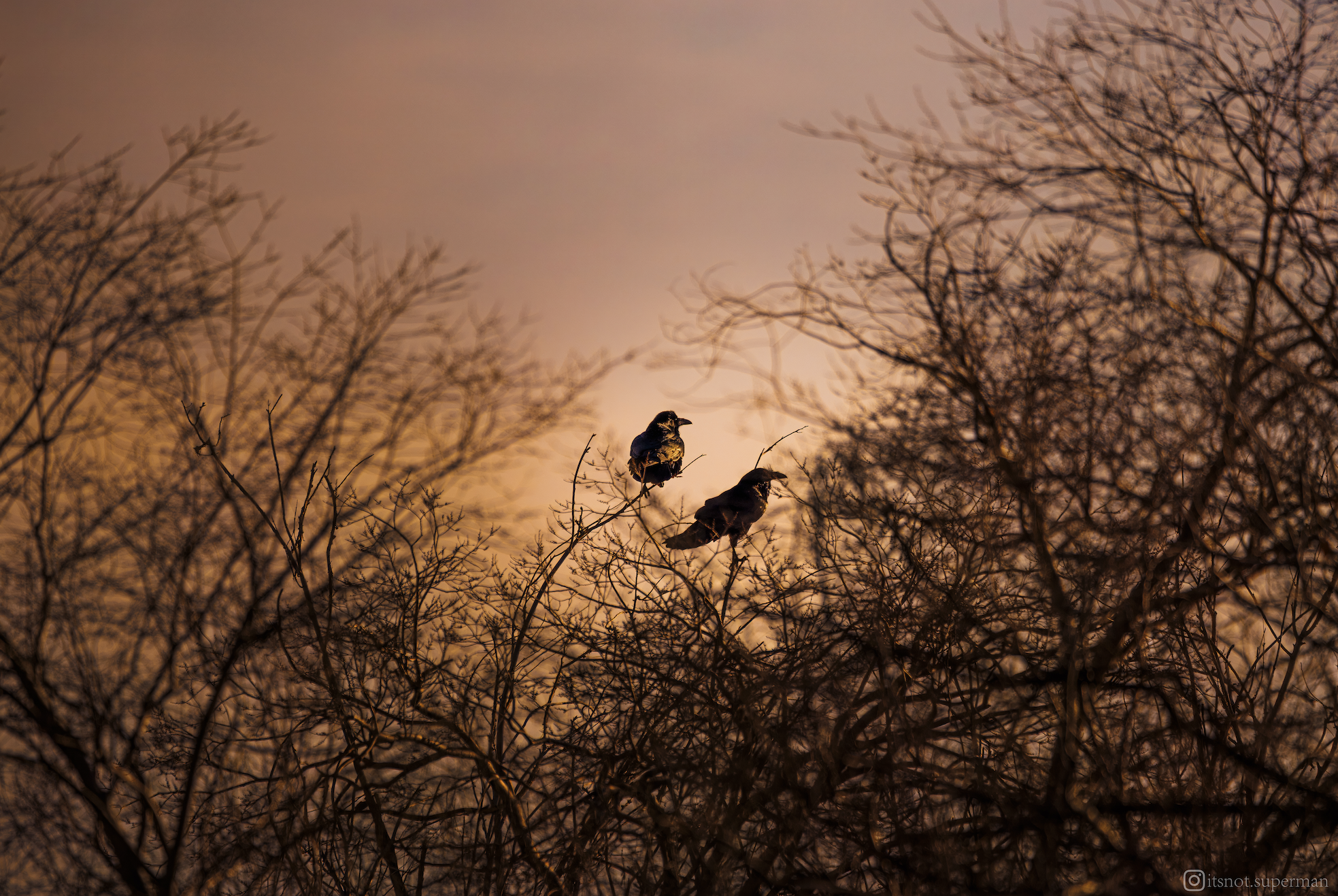 Screenshot 2026-01-05 at 4.22.16 PM.png